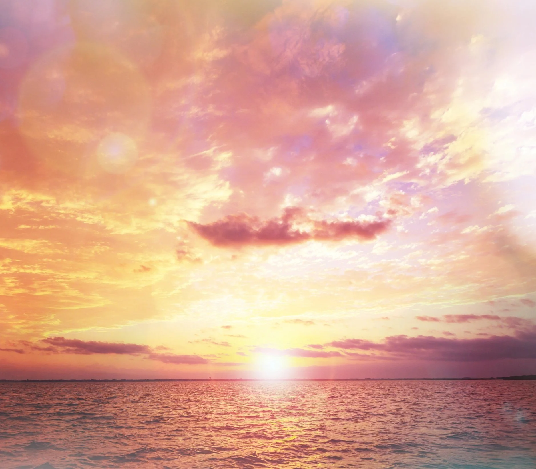 Book a Free Strategy Call