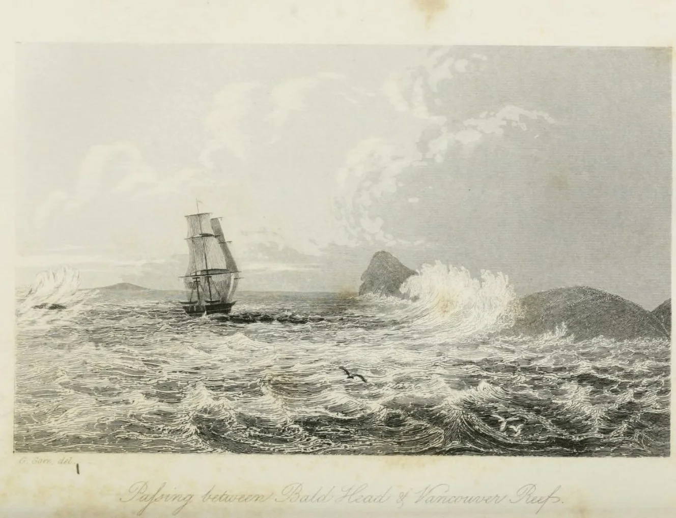 Vancouver Reef (Stokes).jpeg