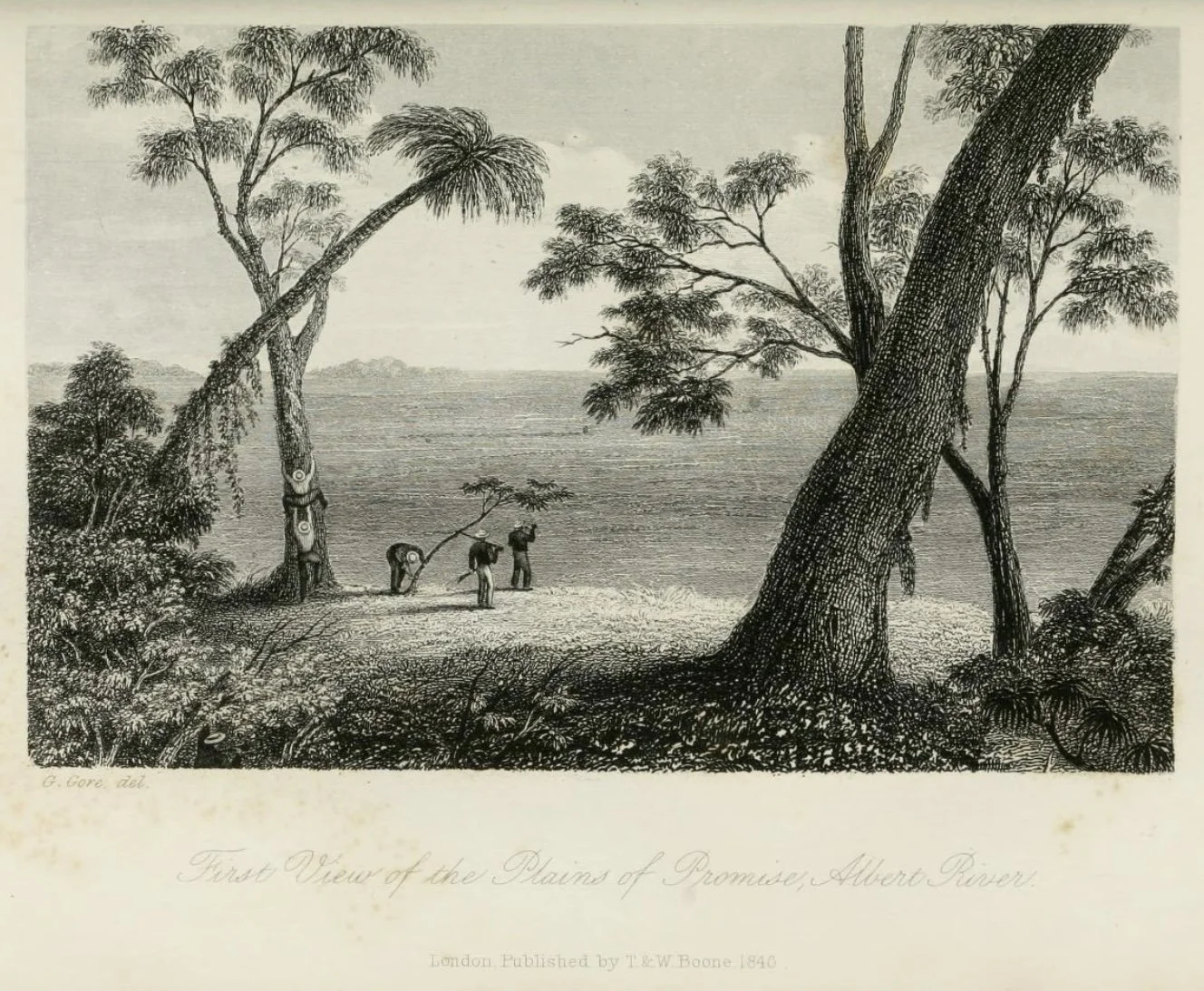 Last View Plains or Promise (Stokes).jpeg