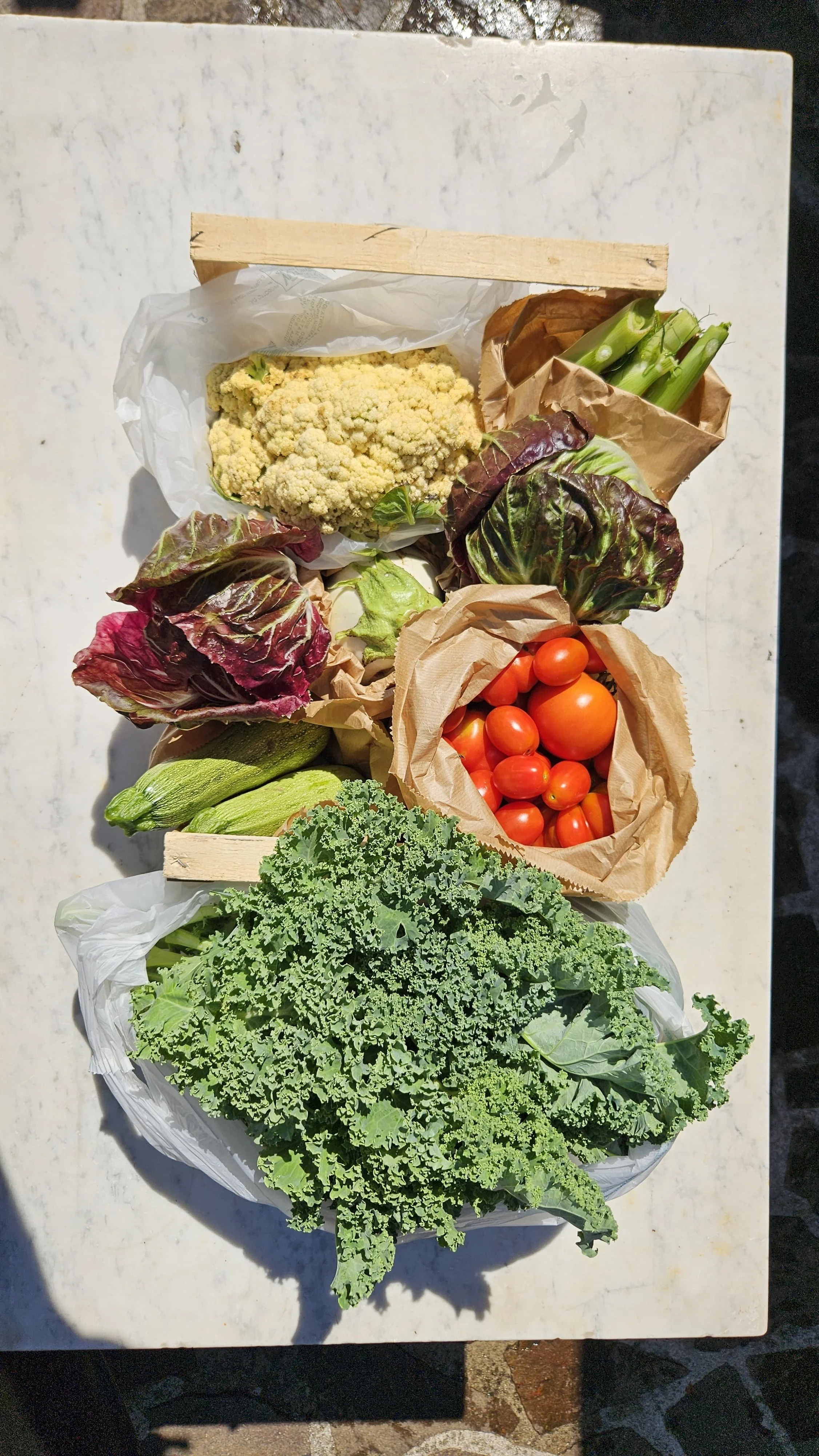 Immagine WhatsApp 2025-07-23 ore 11.01.36_8ffe8c4f.jpg