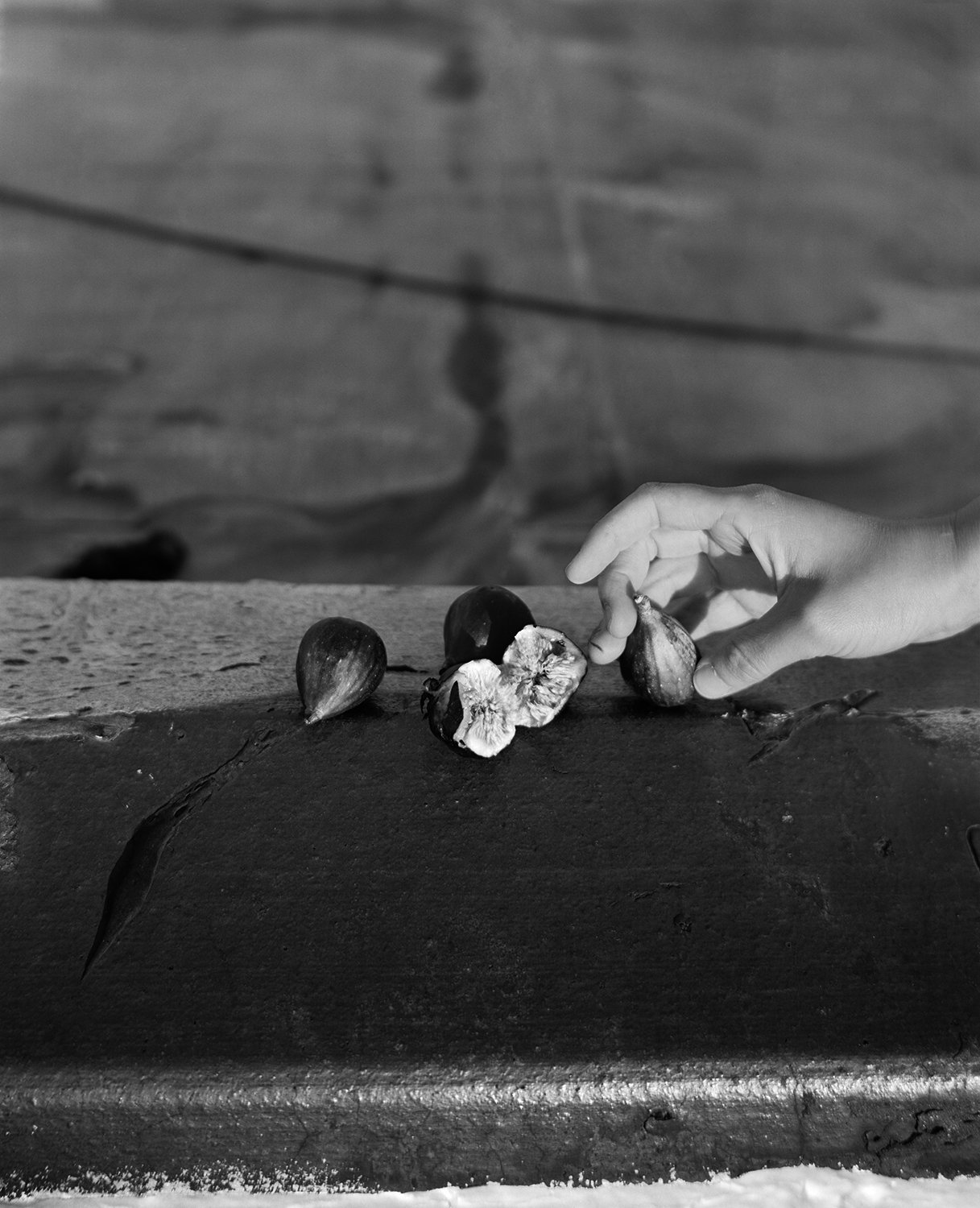 Sliced Finger and Fig_2024 copy.jpg