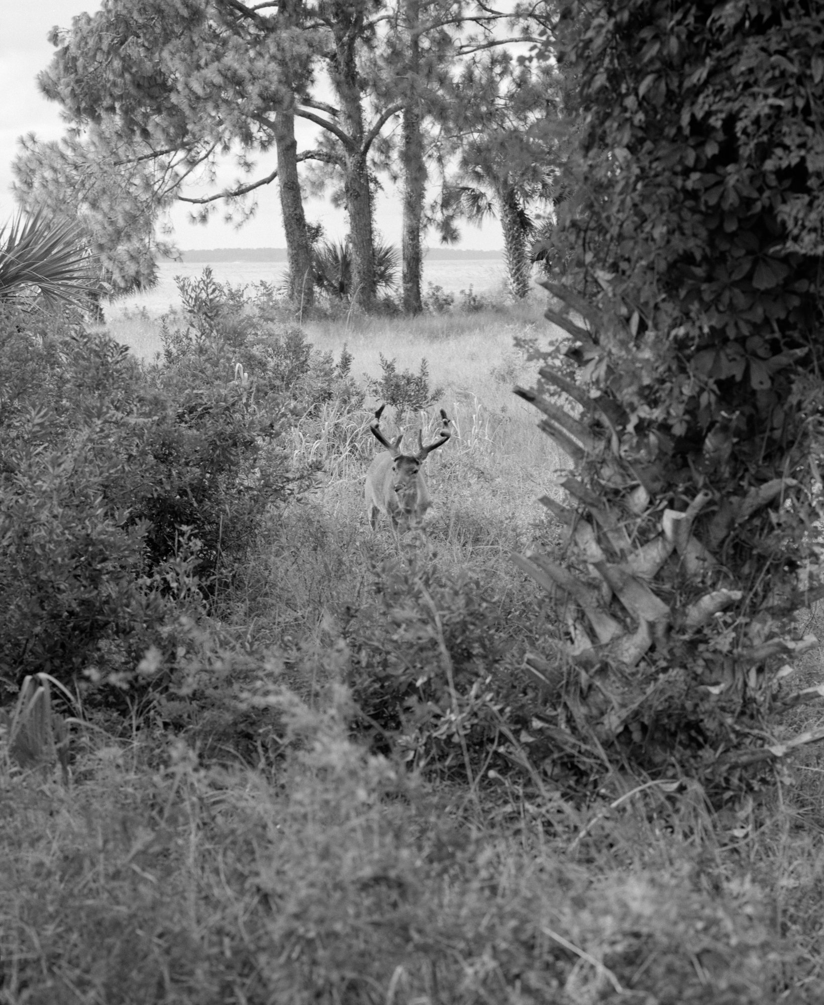 HiltonHead_55 copy.jpg