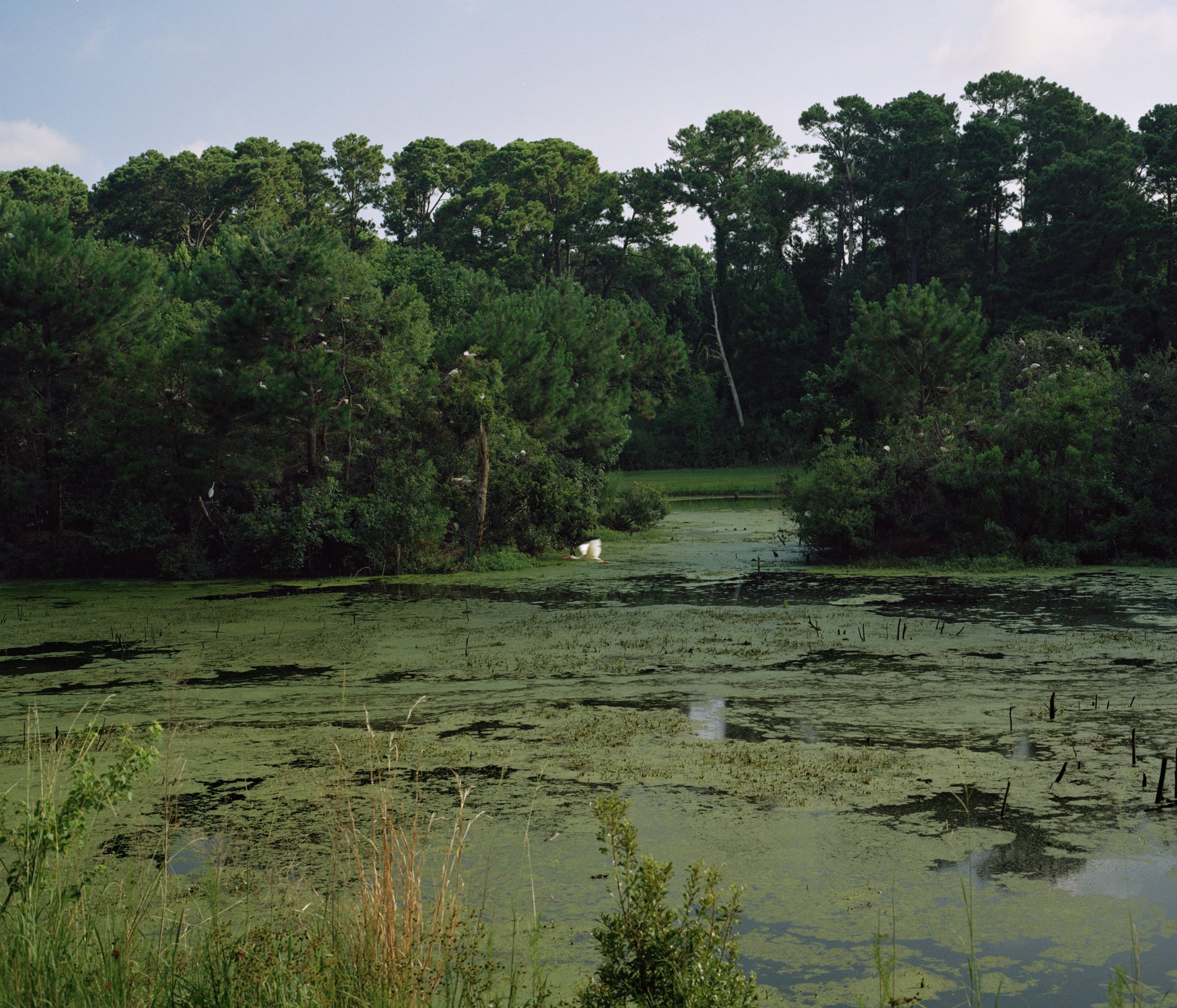 HiltonHead_76.jpg