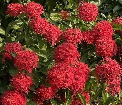 South Sudan 2026 continued-10.jpeg