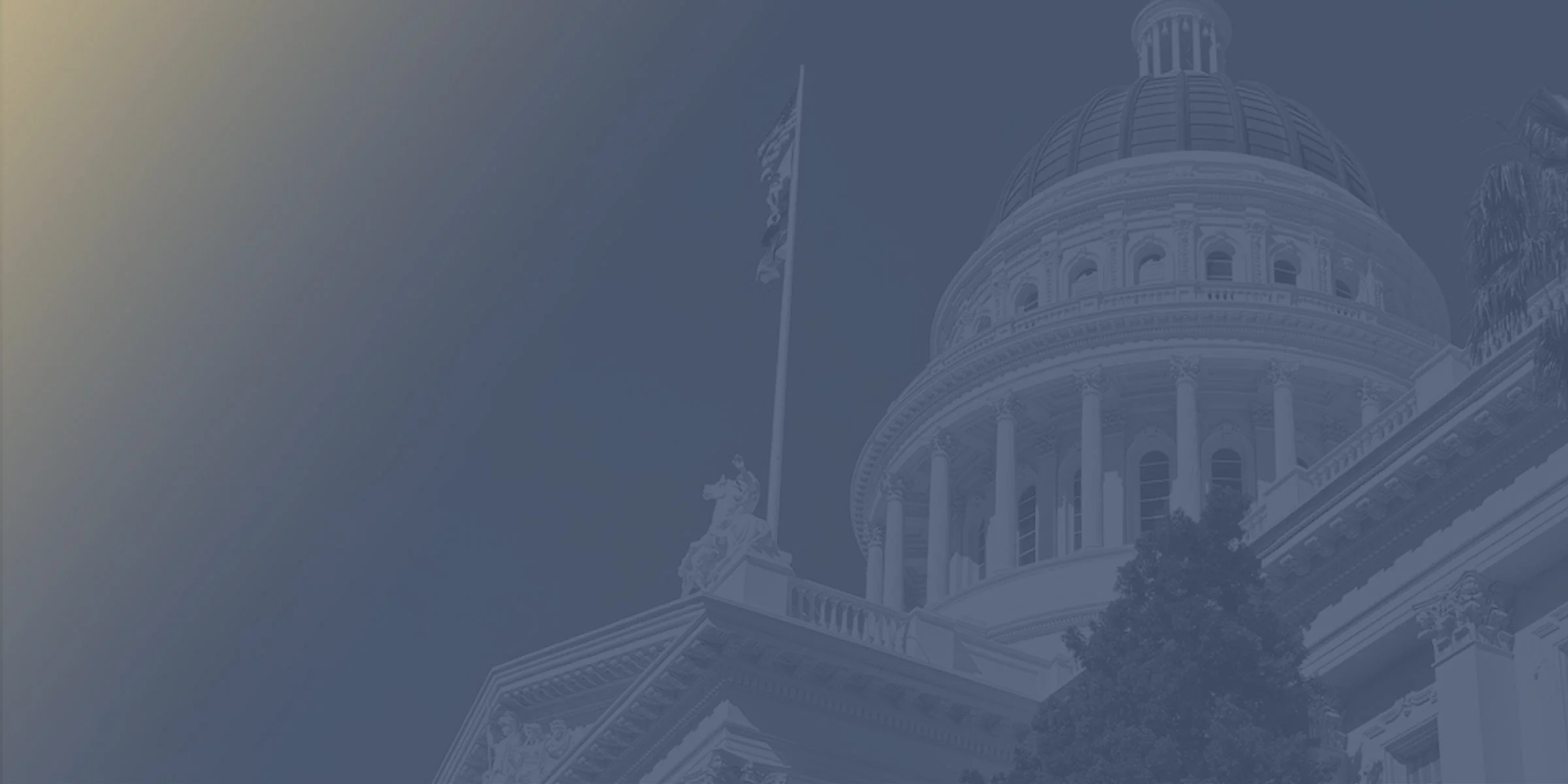 For Consumer Protections & Children's Rights