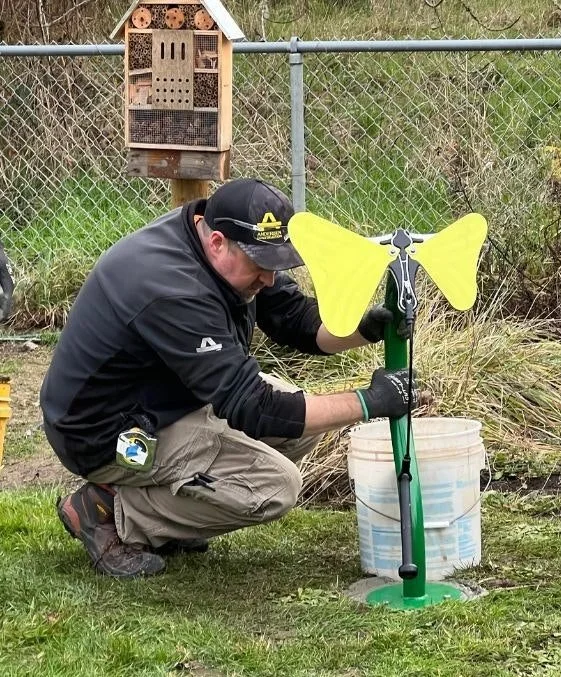 butterfly install.jpg