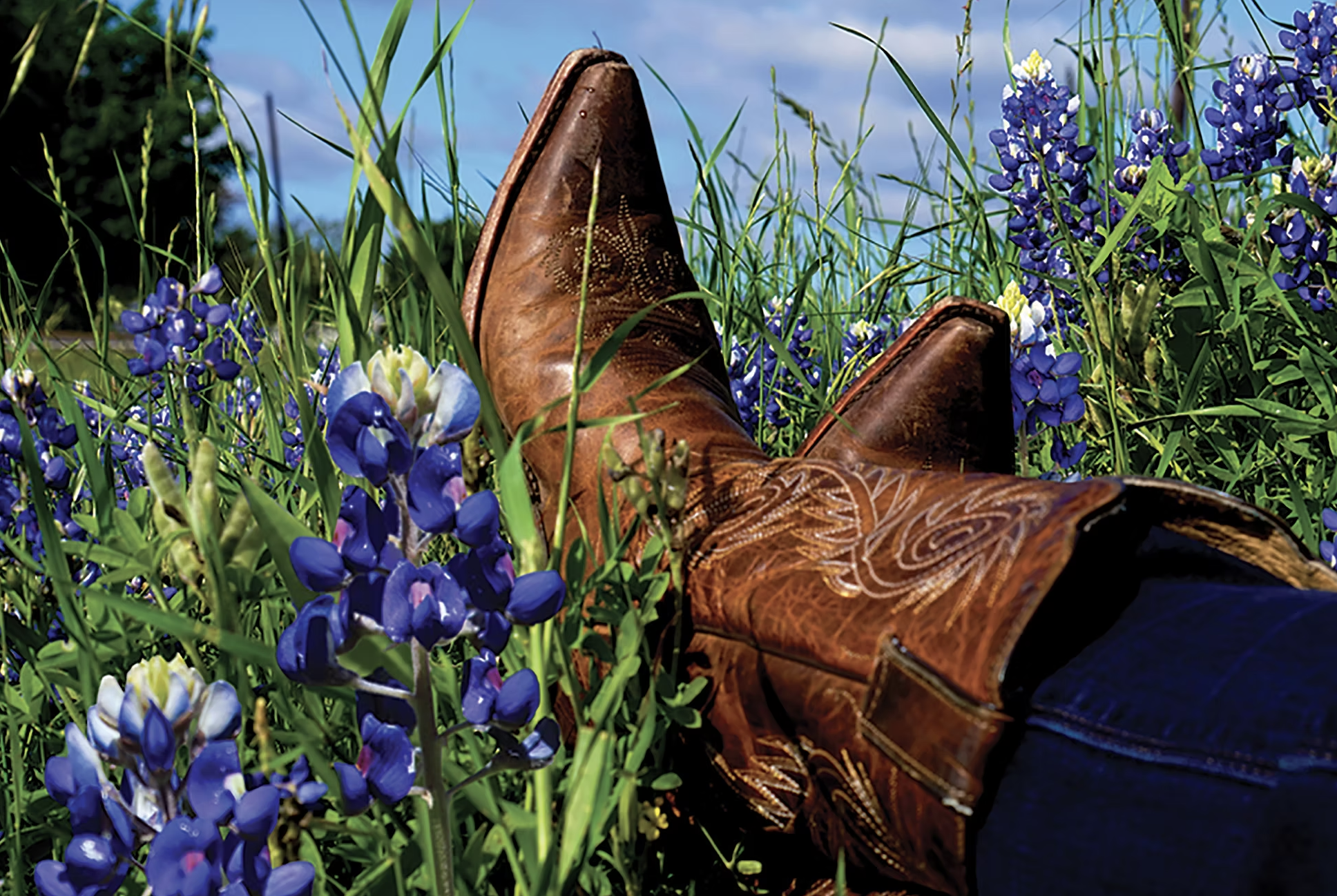 Ennis Bluebonnet Trails &amp; Festival