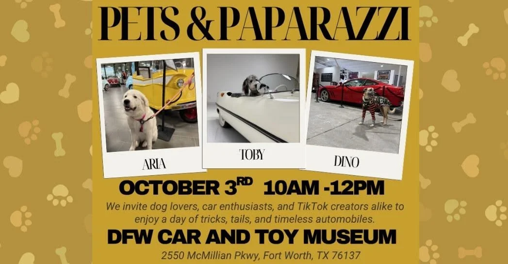 Pets & Paparazzi 