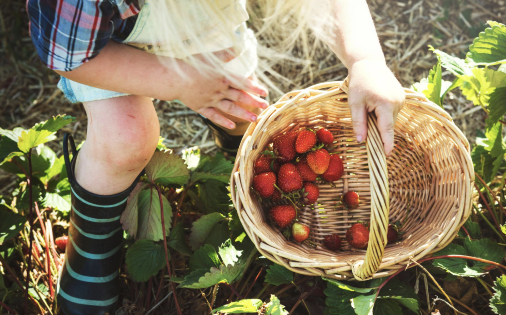 Neurodivergence Is Not Just About the Brain: How Nutrition Can Shape Children