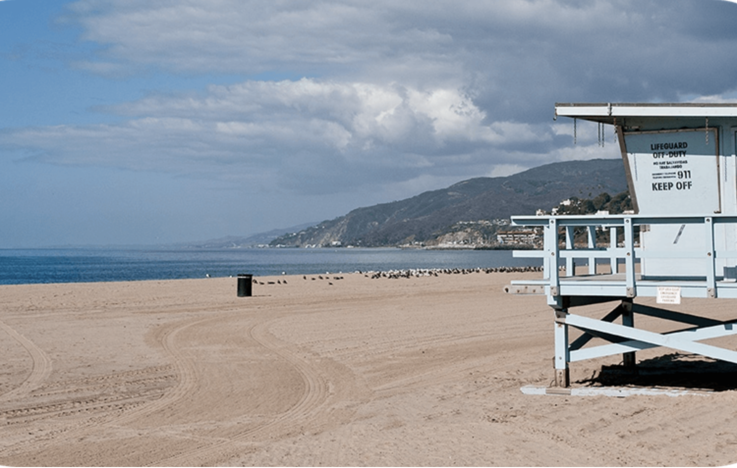 Beach Cleanup Near Temescal Canyon on Aug. 16