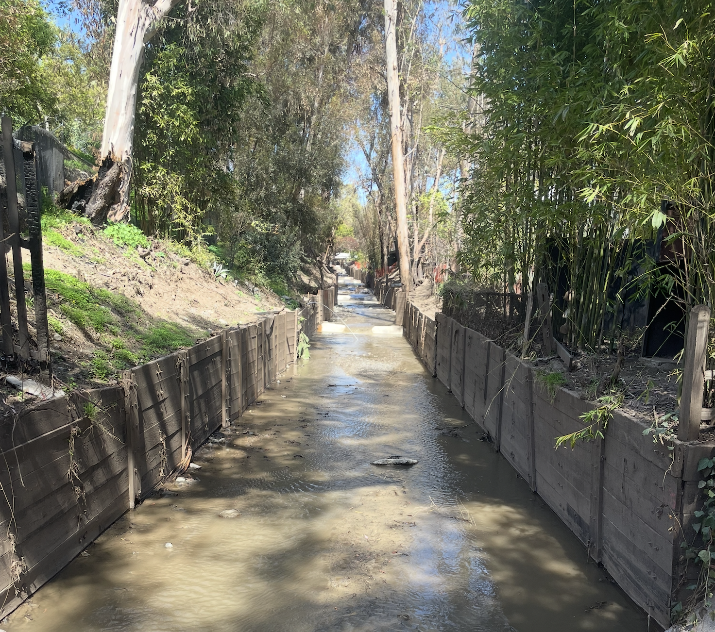 The Canyon Alliance Budgets for Neighborhood Grants & Emergency Reserve