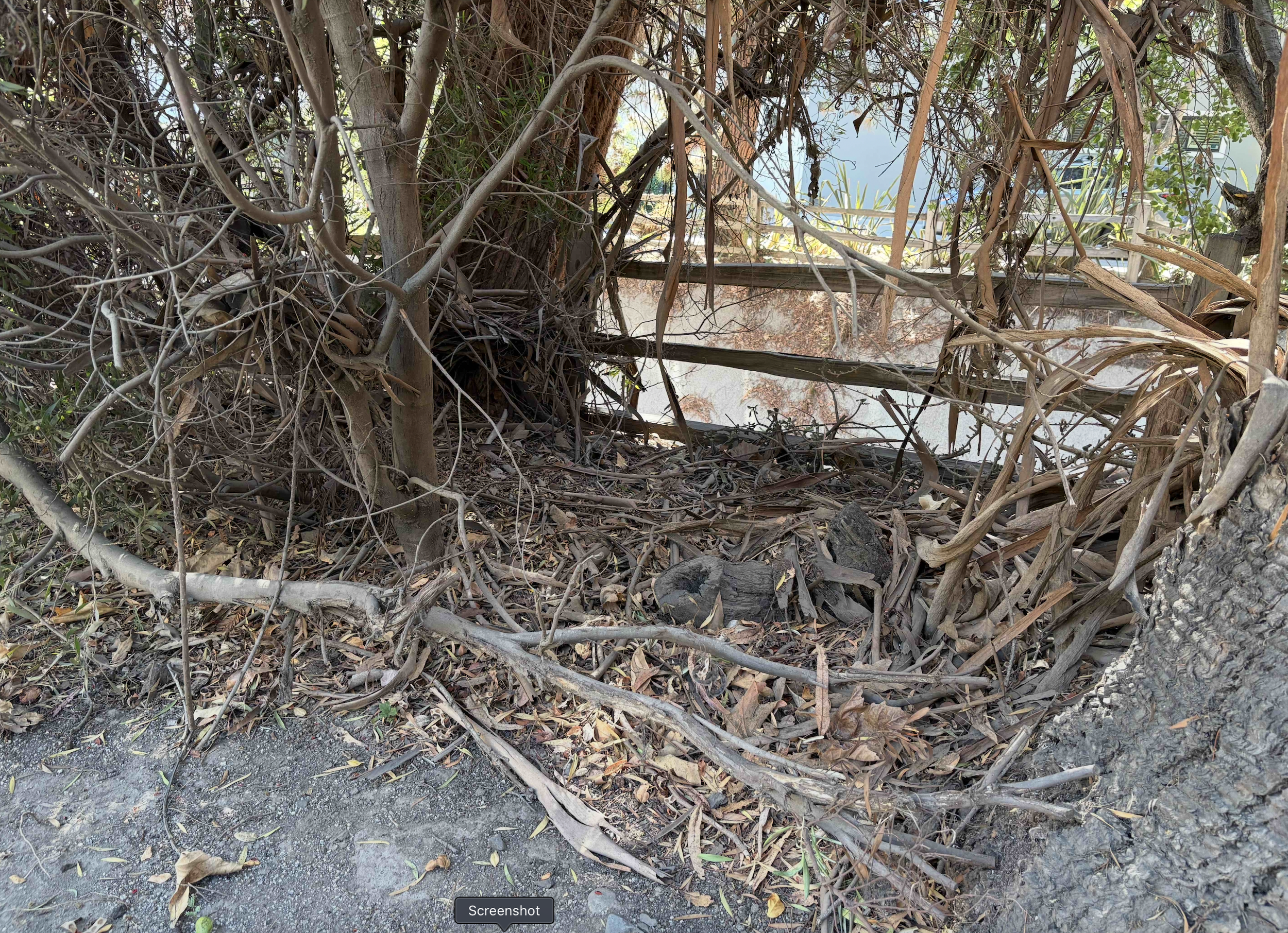 Brush To Be Cleared Along Rustic Creek This Week