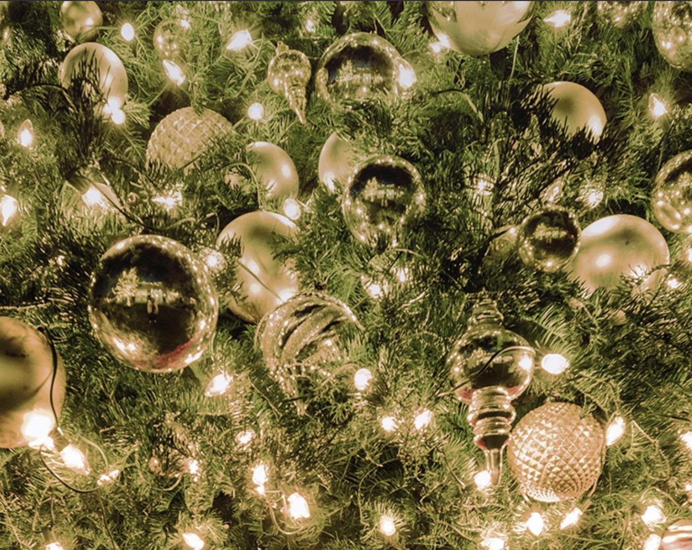 December Festivities: Tree &amp; Menorah Lighting, Festive Soiree, Holiday Ho-Ho-Ho &amp; More