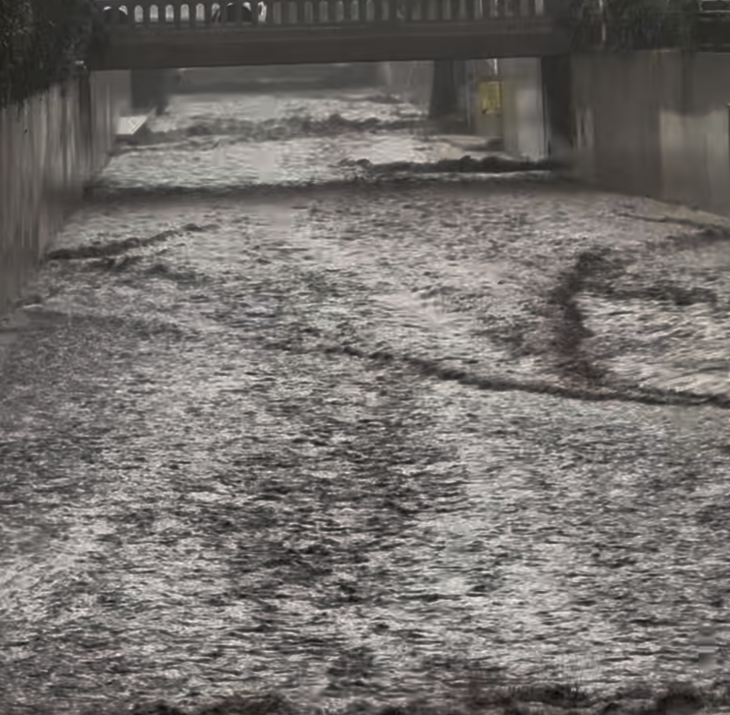 Water Rising in Rustic and Santa Monica Canyons