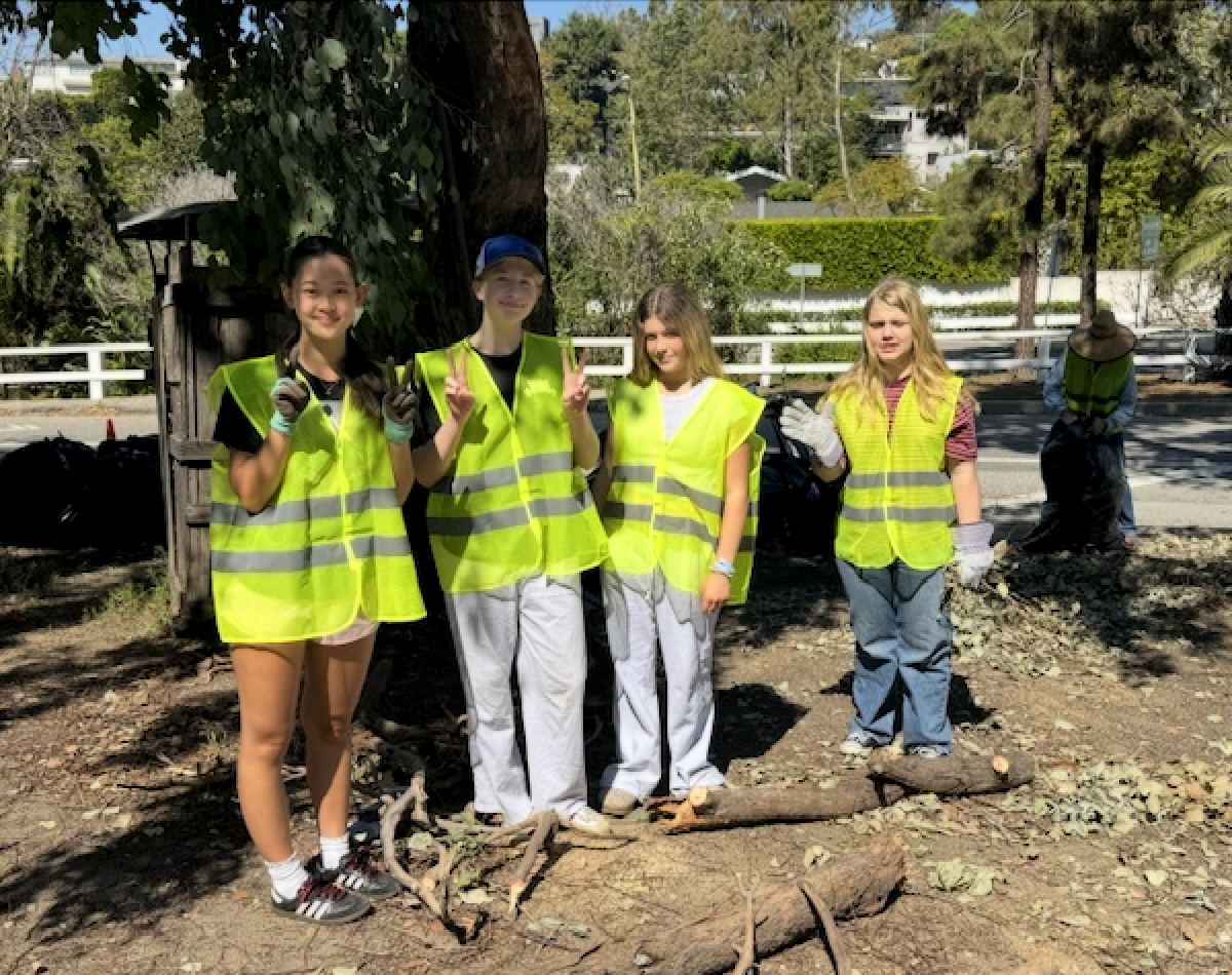 Scout Troop 223 Goes to Work on Santa Monica Canyon