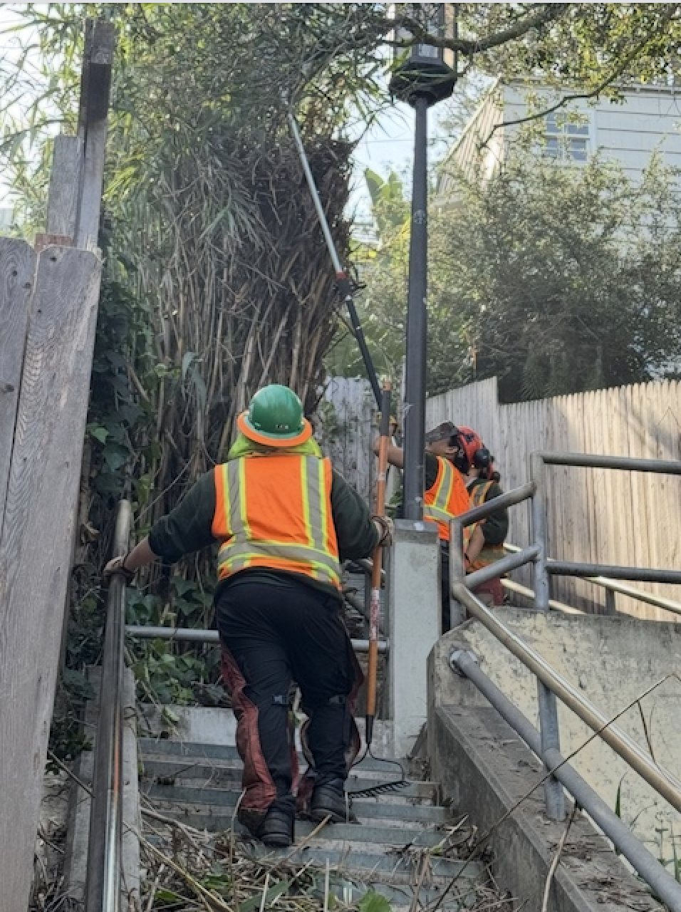 Dry Brush Removed from Fourth St. Stairs