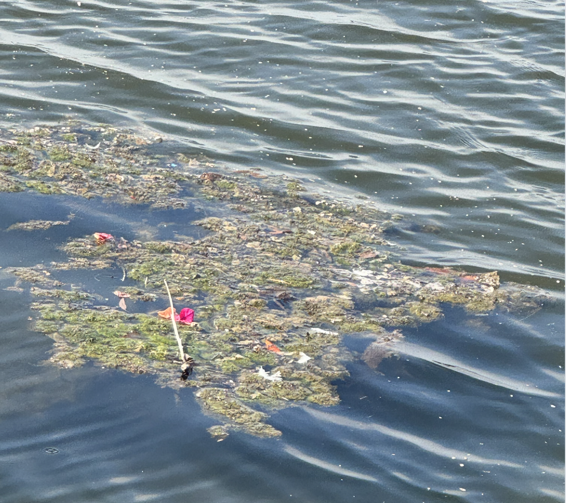 “Mini Lake” Forms at Will Rogers Beach