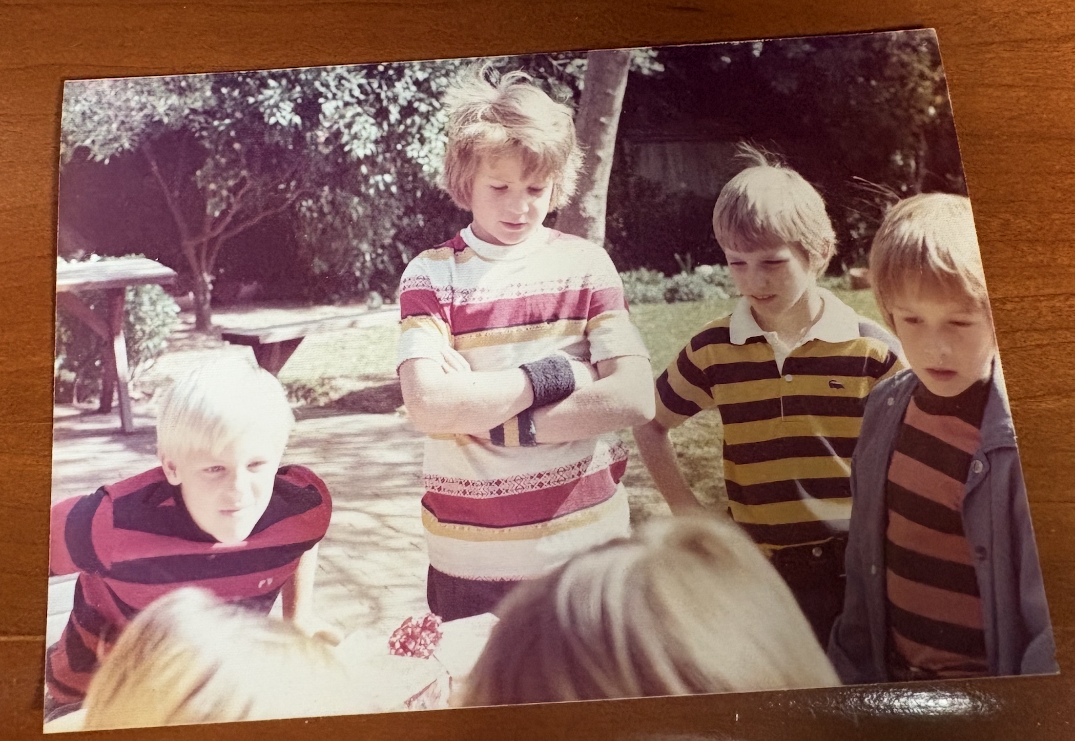 Weekly Summer Picnics: A Rustic Canyon Park Tradition for Decades