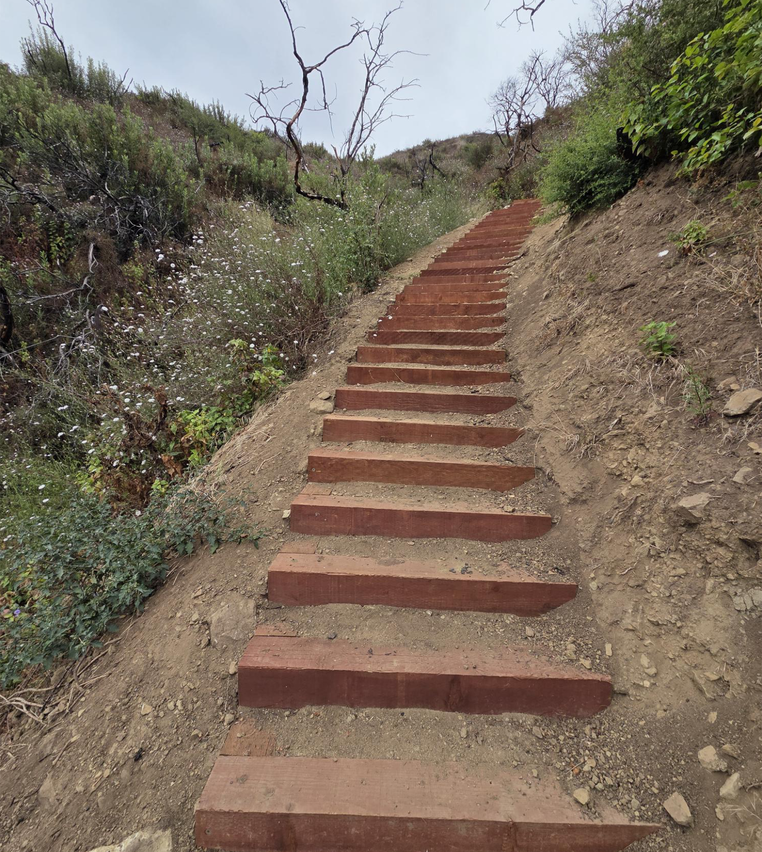 Temescal Gateway Park Reopens Without Waterfall Trail/Parking Lot To Aid Undergrounding