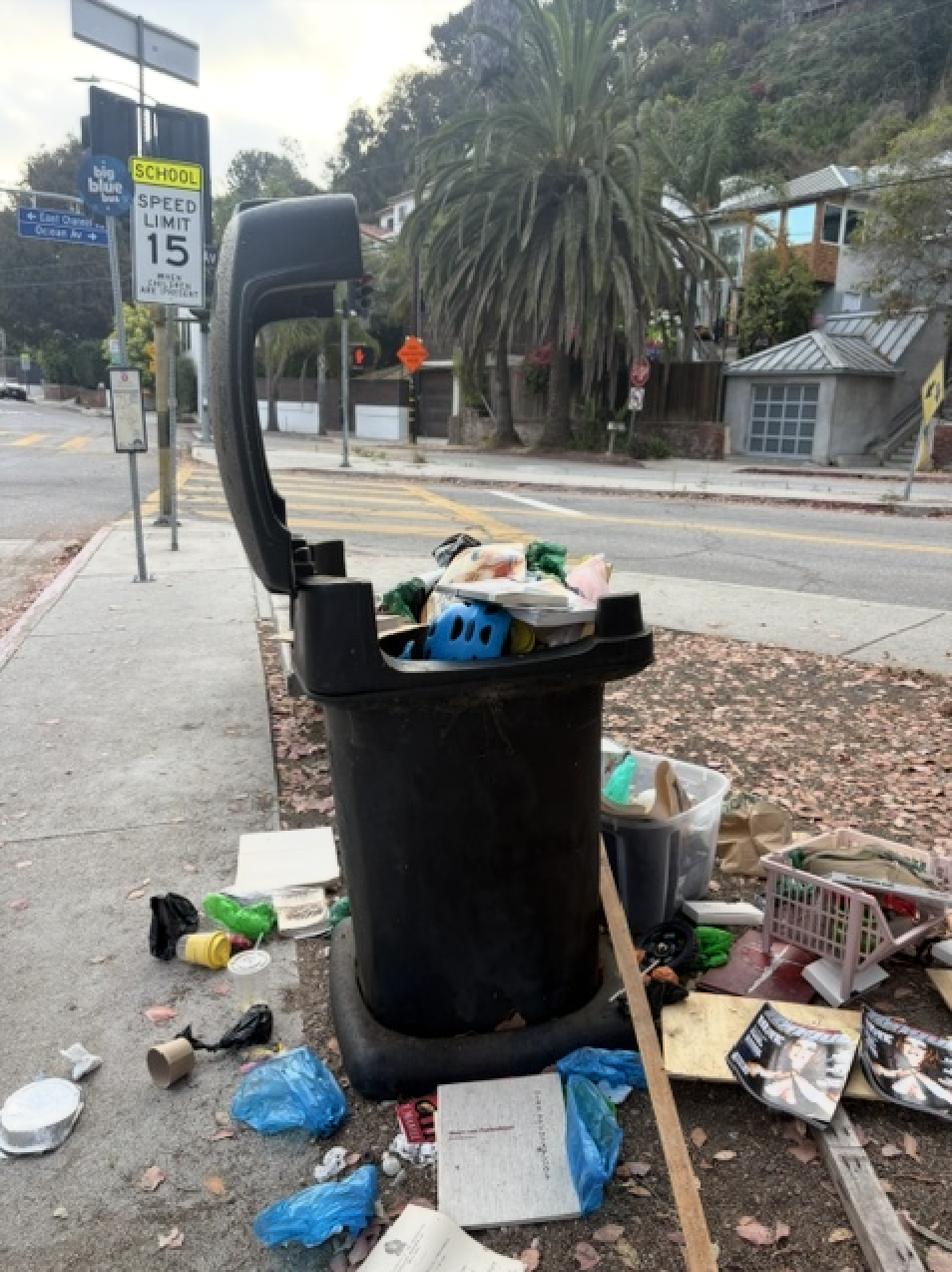 How To Request Public Trash Collection
