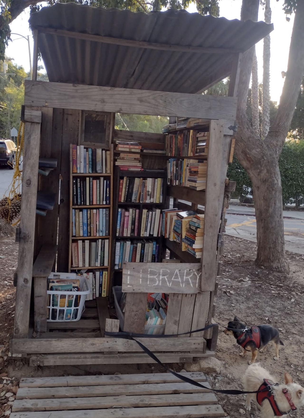 History Corner: A Tale of a Little Library