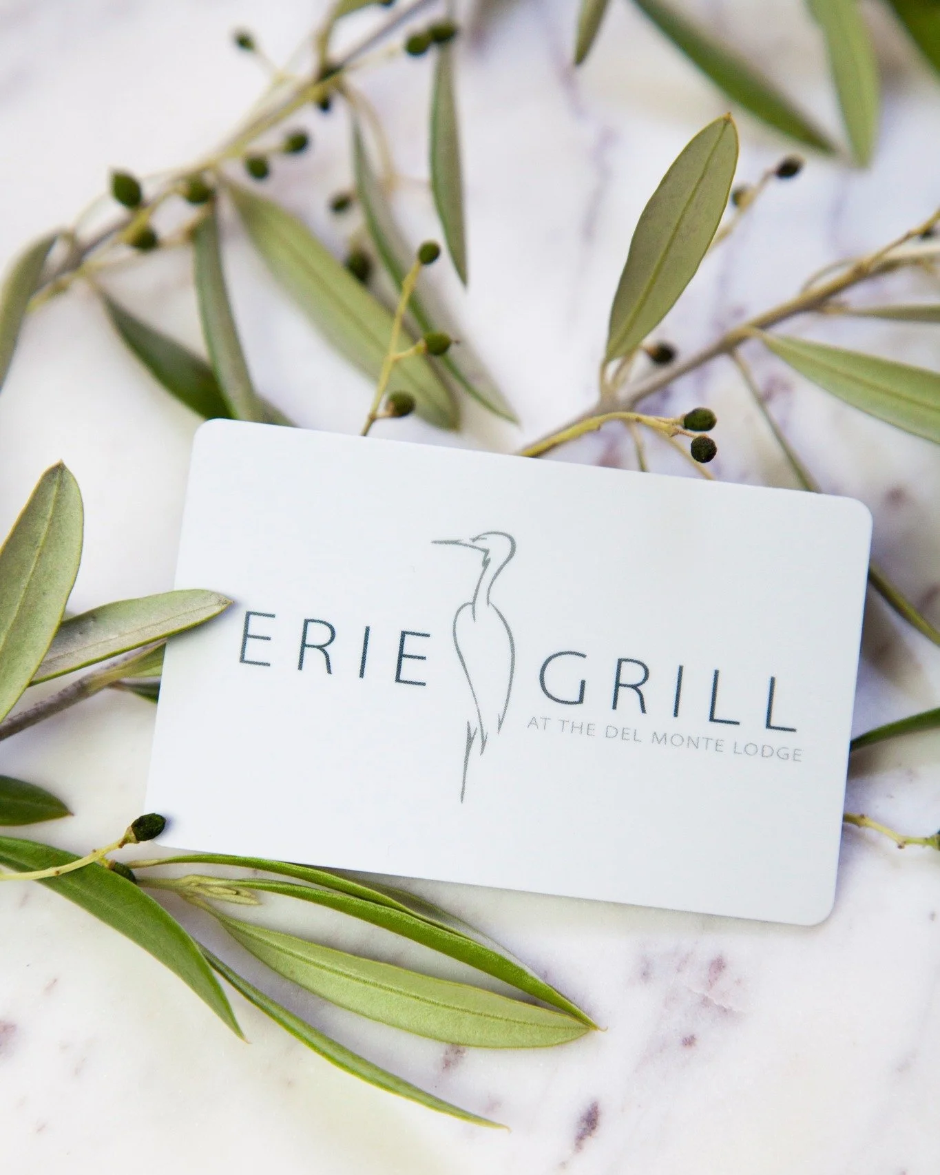 For birthdays, thank you, or just because — an Erie Grill gift card always fits 💳🥂 
·
·
Purchase one online through the link in our bio or pick it up in-store today! 
·
#eriegrill #eriecanal #rochesterny #rochester #rocea