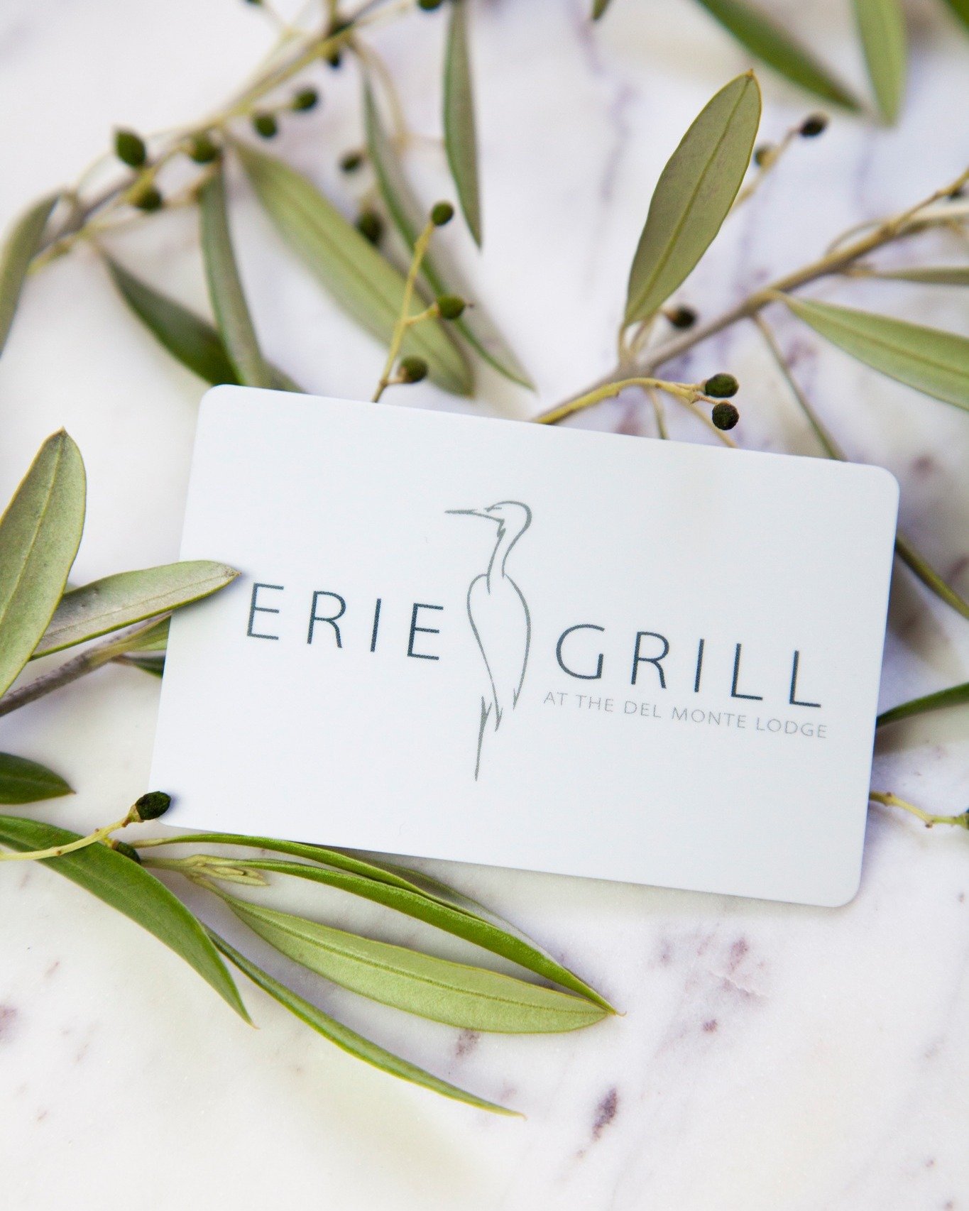 Holiday shopping made easy! Pick up an Erie Grill gift card and give the gift of a great meal. 🍽️💛
&middot;
&middot;
Purchase your Erie Grill gift card today!
&middot;
#eriegrill #eriecanal #rochesterny #rochester #roceats #tasteny #deliciousfood #