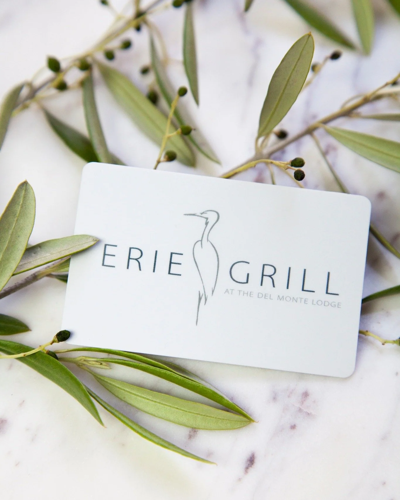 Did you receive an Erie Grill gift card this holiday season?
&middot;
&middot;
Treat yourself &mdash; join us for a delicious meal overlooking the canal. 🍽️✨
&middot;
#eriegrill #eriecanal #rochesterny #rochester #roceats #tasteny #deliciousfood #fo