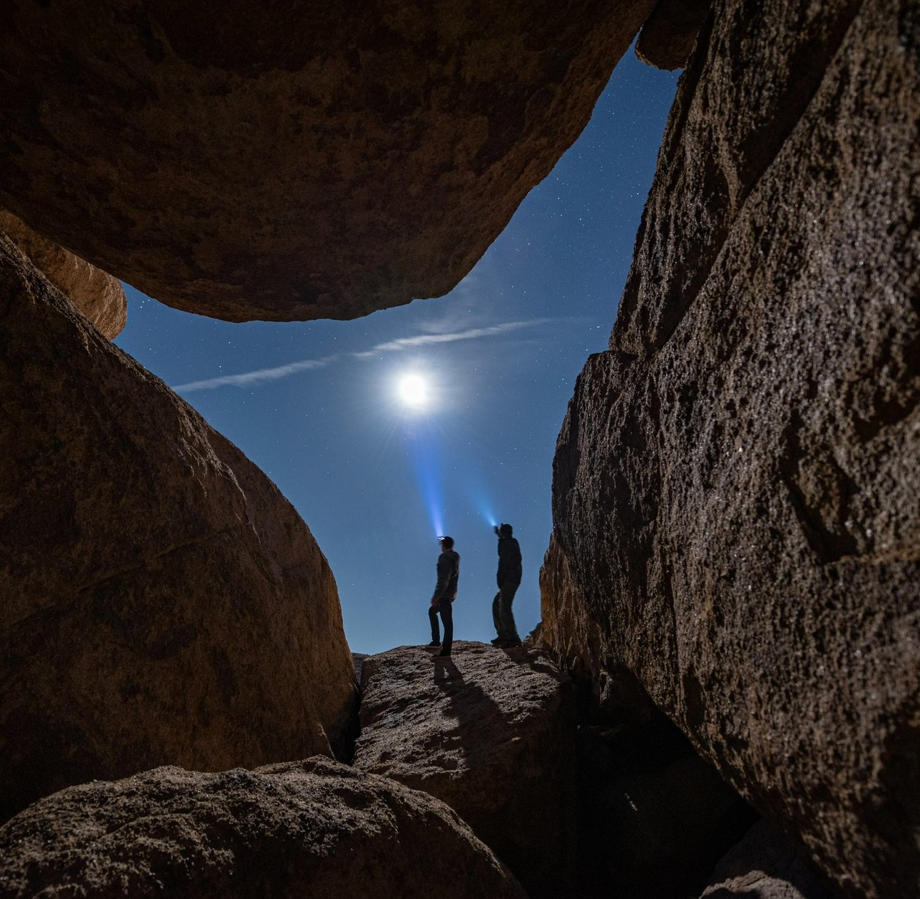 Psilocybin Therapy, Science, and the Journey Within