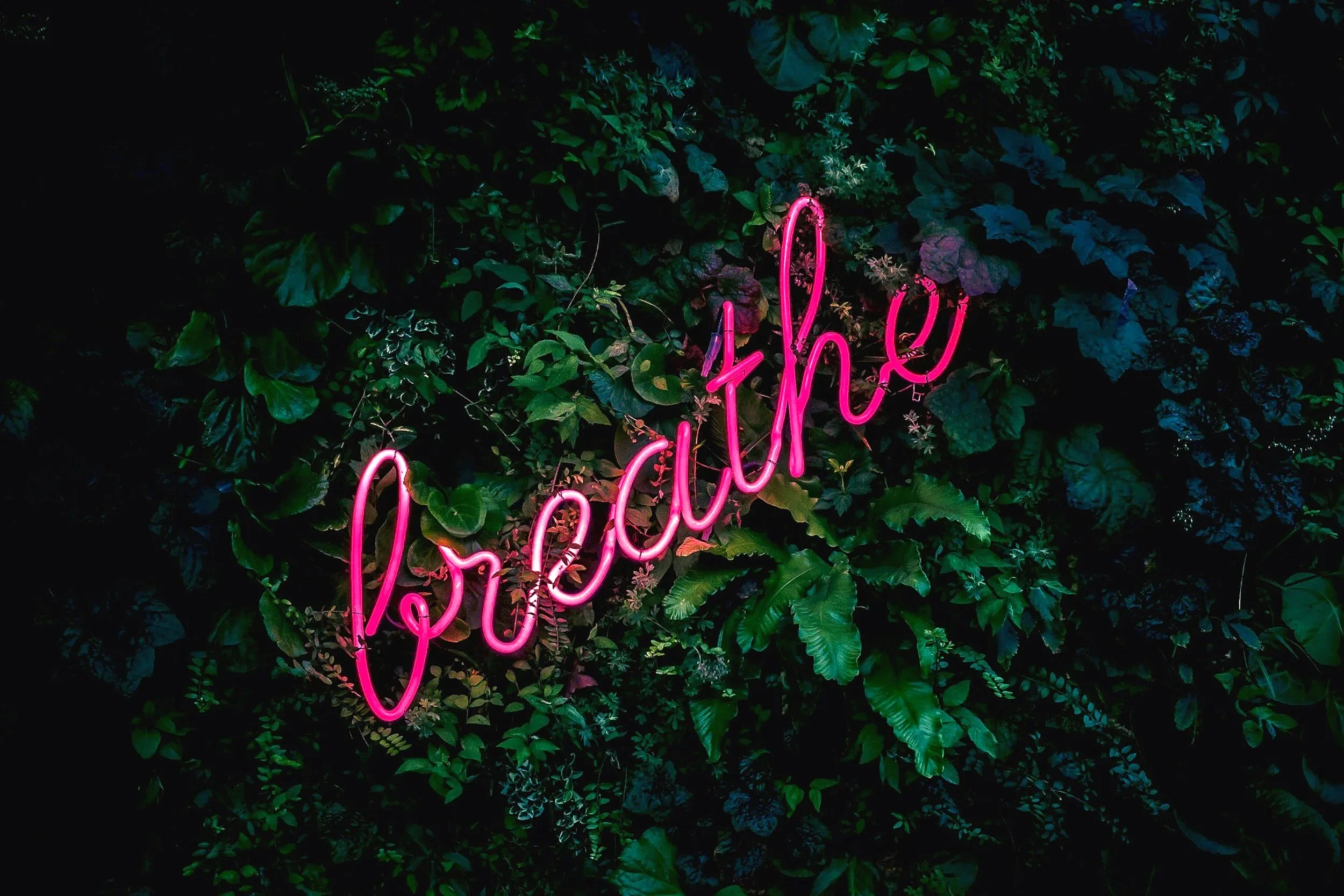 Sara Thornhill BreathWORTH™ workshops