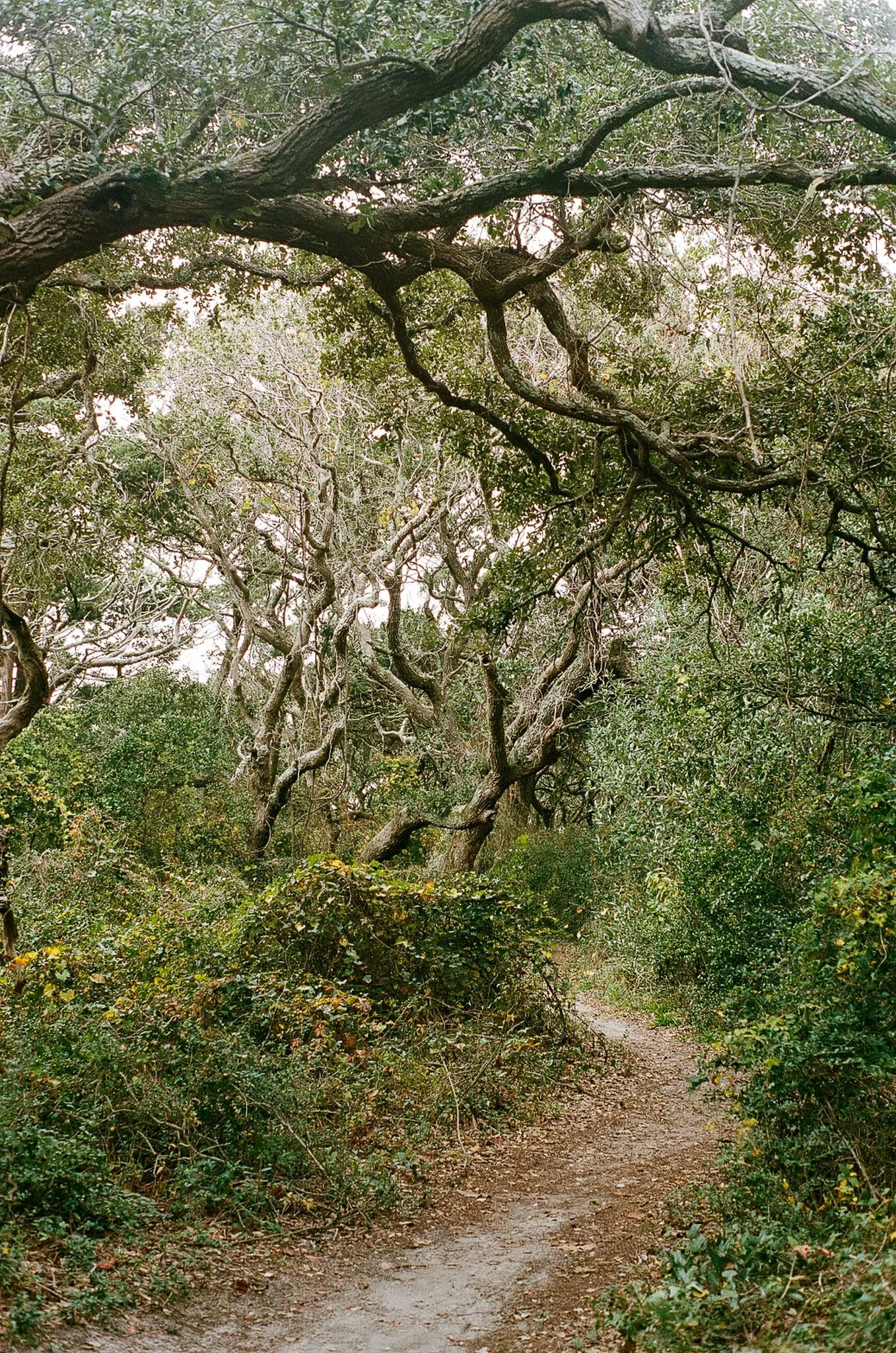 OBX-16.jpg