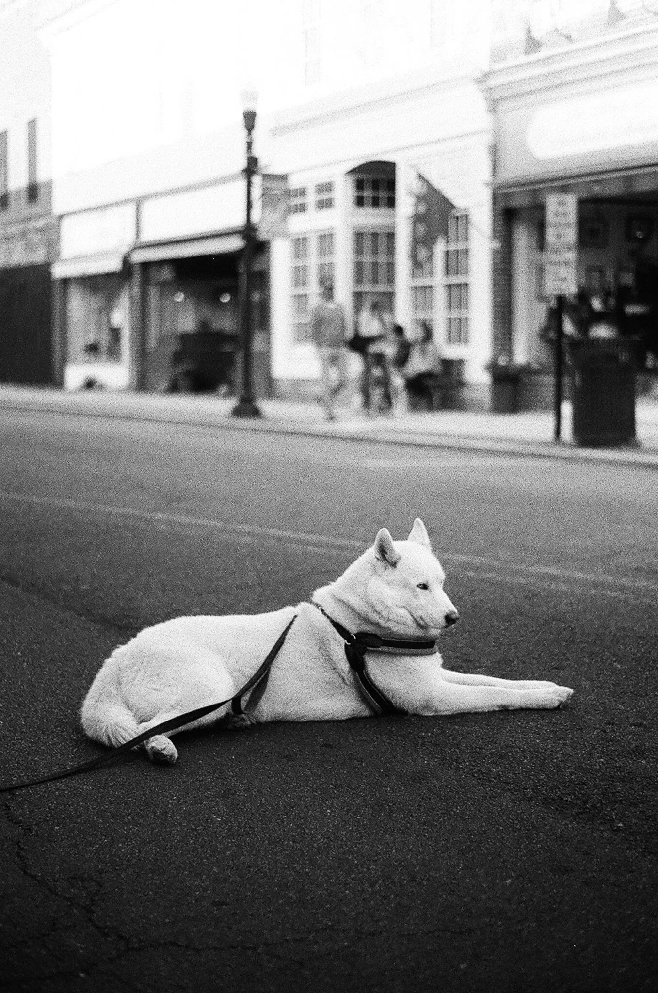 OBX_BW-3.jpg