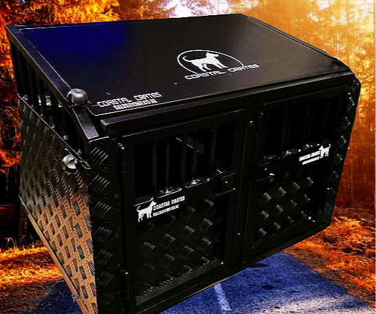A black dog crate with metal bars and a diamond-plate pattern on the sides, placed outdoors on a paved path with trees and autumn foliage in the background.