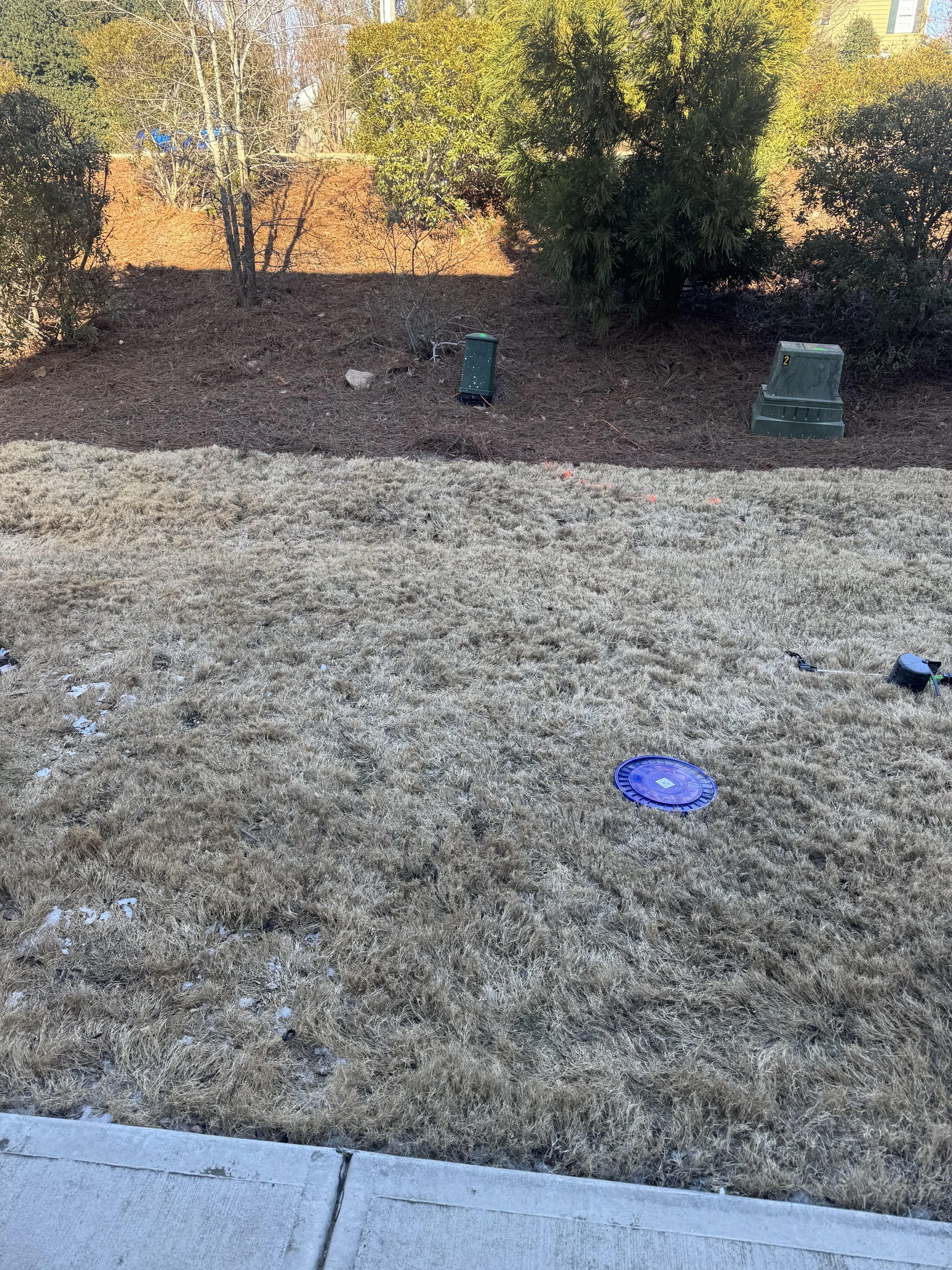 A backyard with a concrete sidewalk in the foreground, dry brown grass beyond, a shrub, a few small trees, and some bushes, with some equipment boxes in the dirt area. In the background are trees and houses.