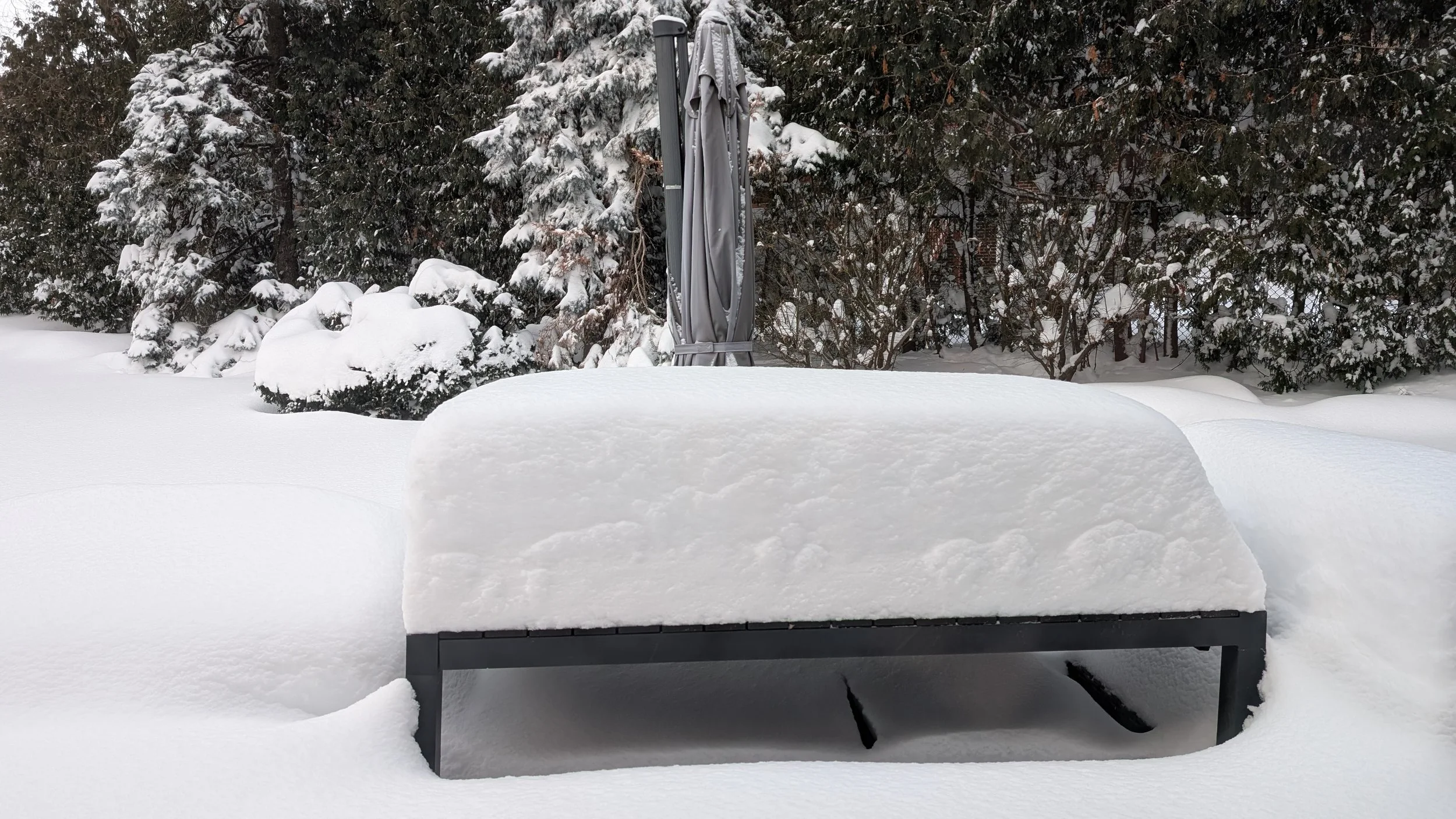 Wintertime is the time for dreaming…