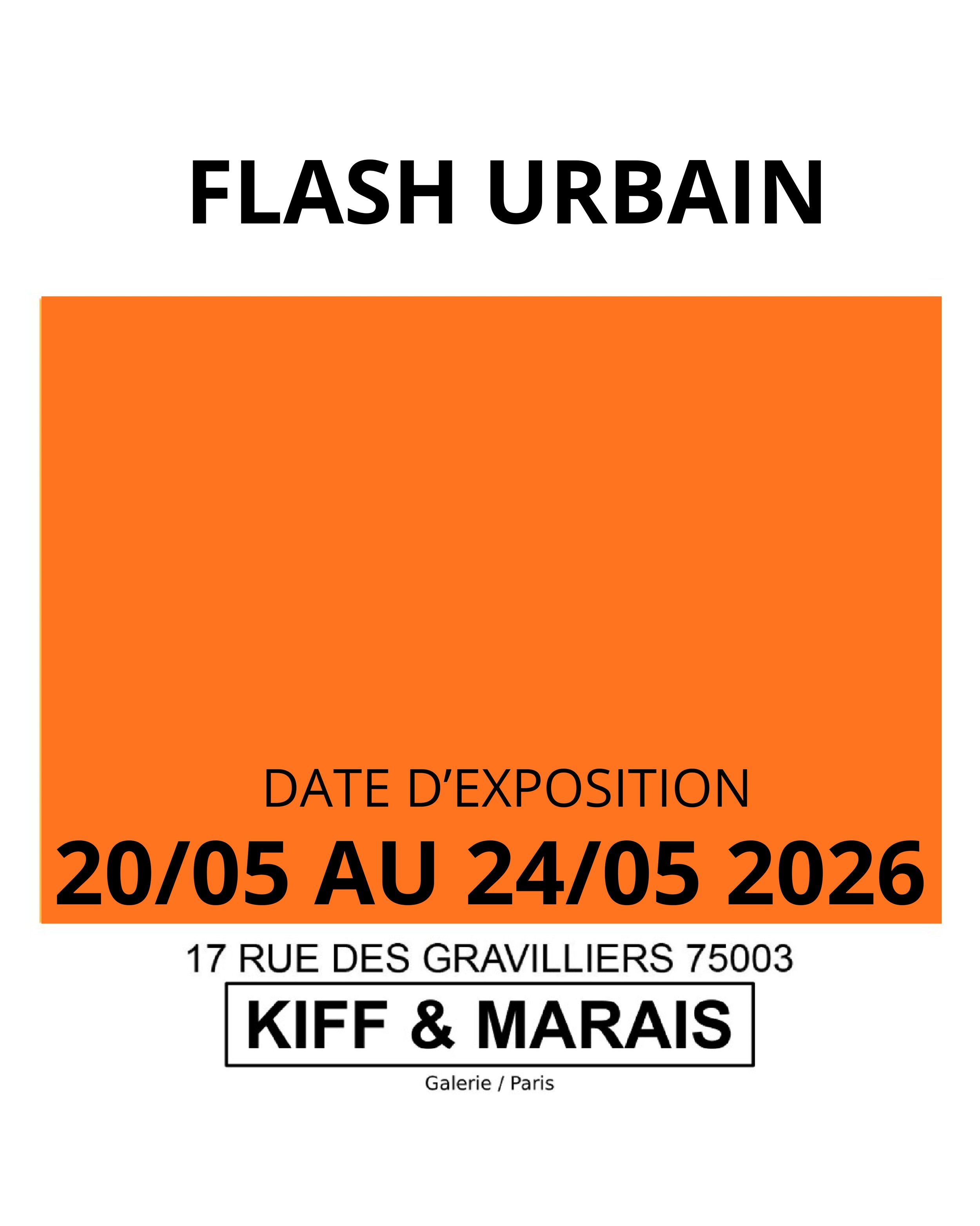 Street Art/ Pop Art /Flash Urbain