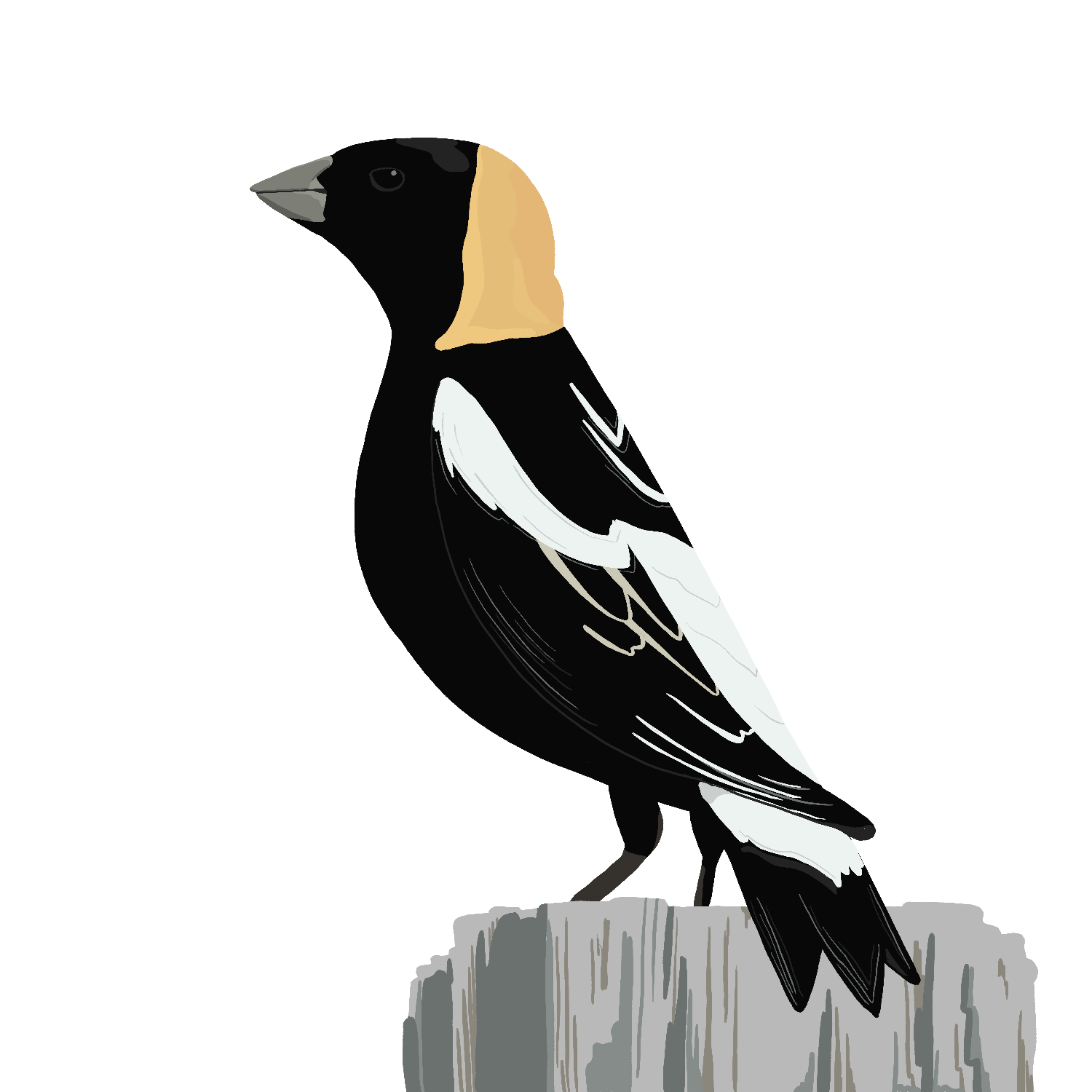 Digital illustration of a birds shaped image with a black and white color pattern, perched on a gray stump, with a slice of bread in the shape of a bird's head placed on top.