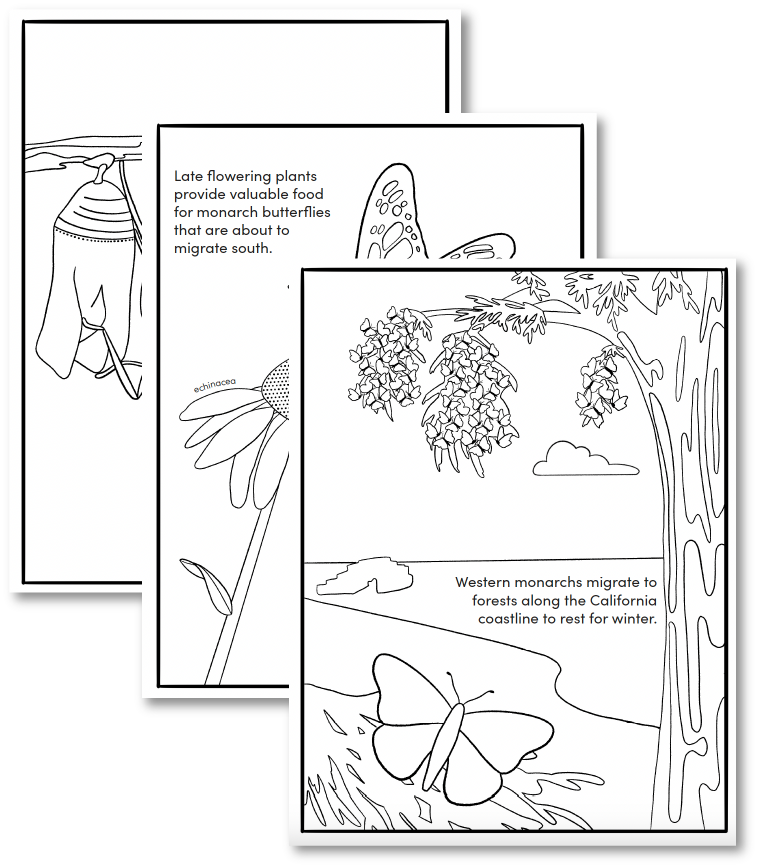 Coloring pages featuring butterflies, plants, and nature scenes with text about monarch butterfly migration and plants.
