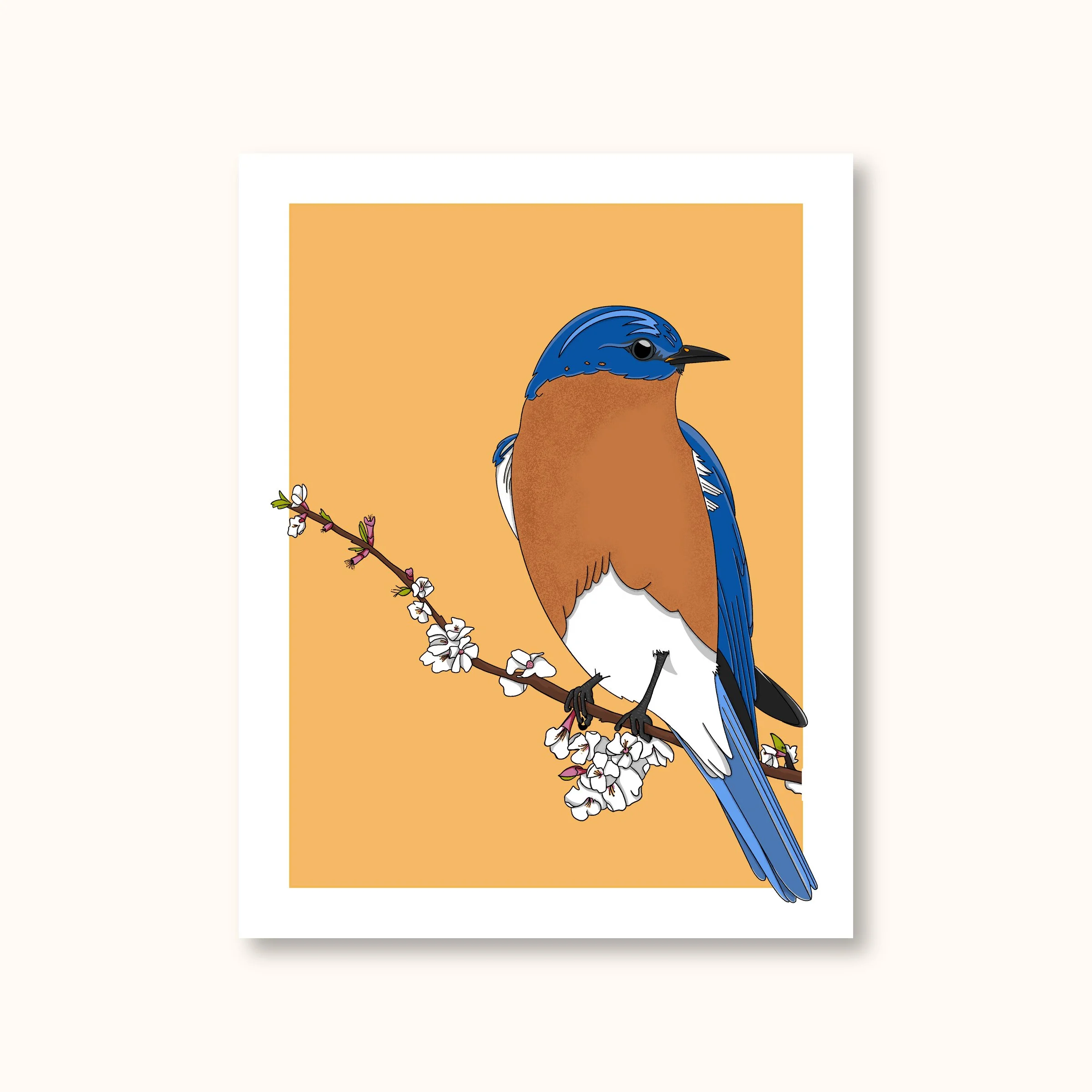 Birds_card_BrandingImages-02.jpg