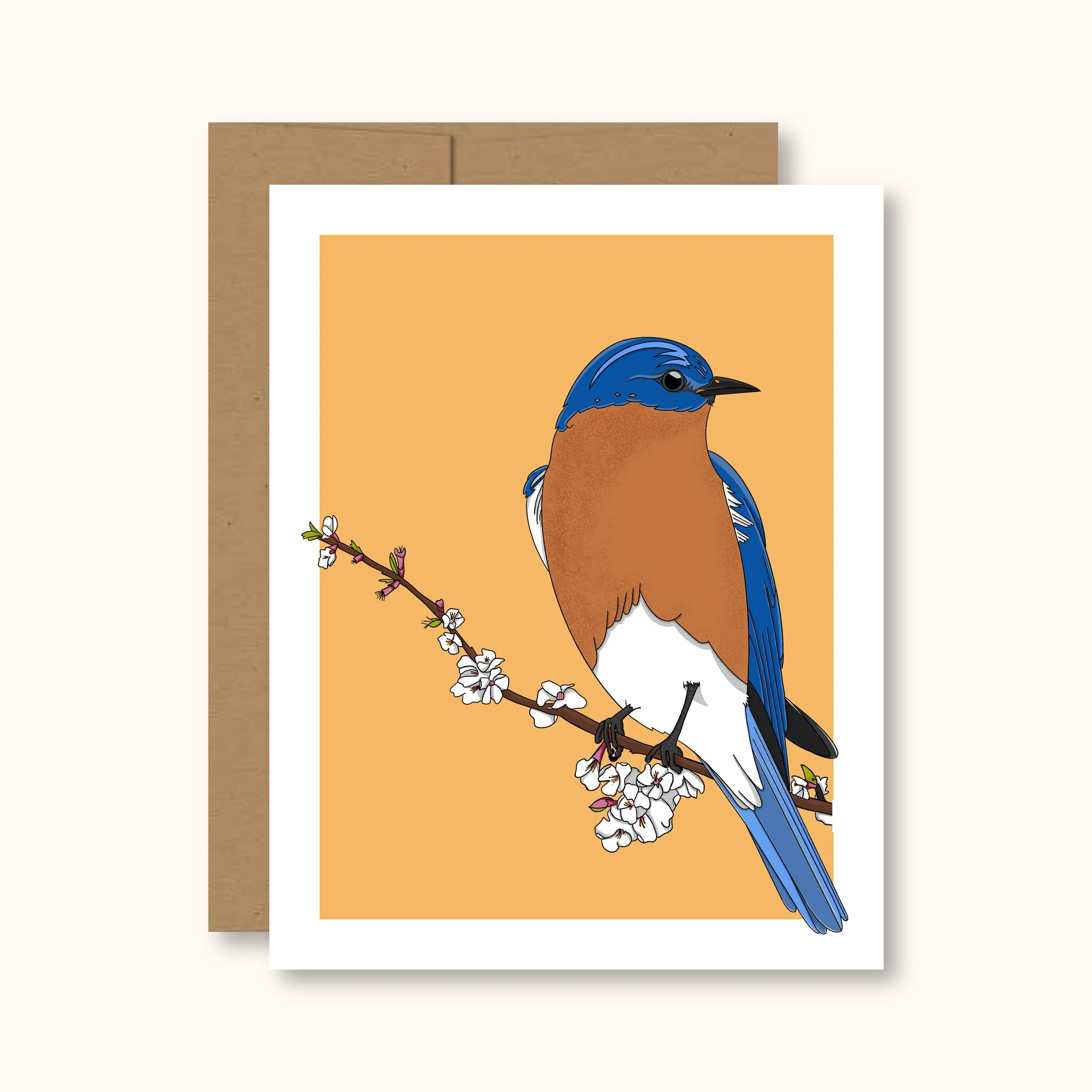 Birds_card_BrandingImages-06.jpg