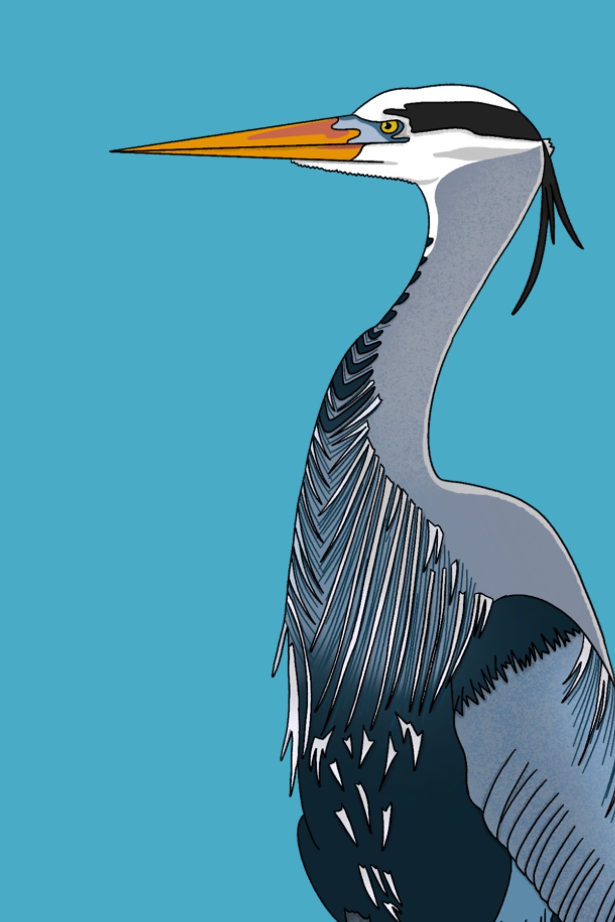 A stylized illustration of a heron with a long neck, gray and black feathers, and a sharp, pointed yellow beak, set against a solid blue background.