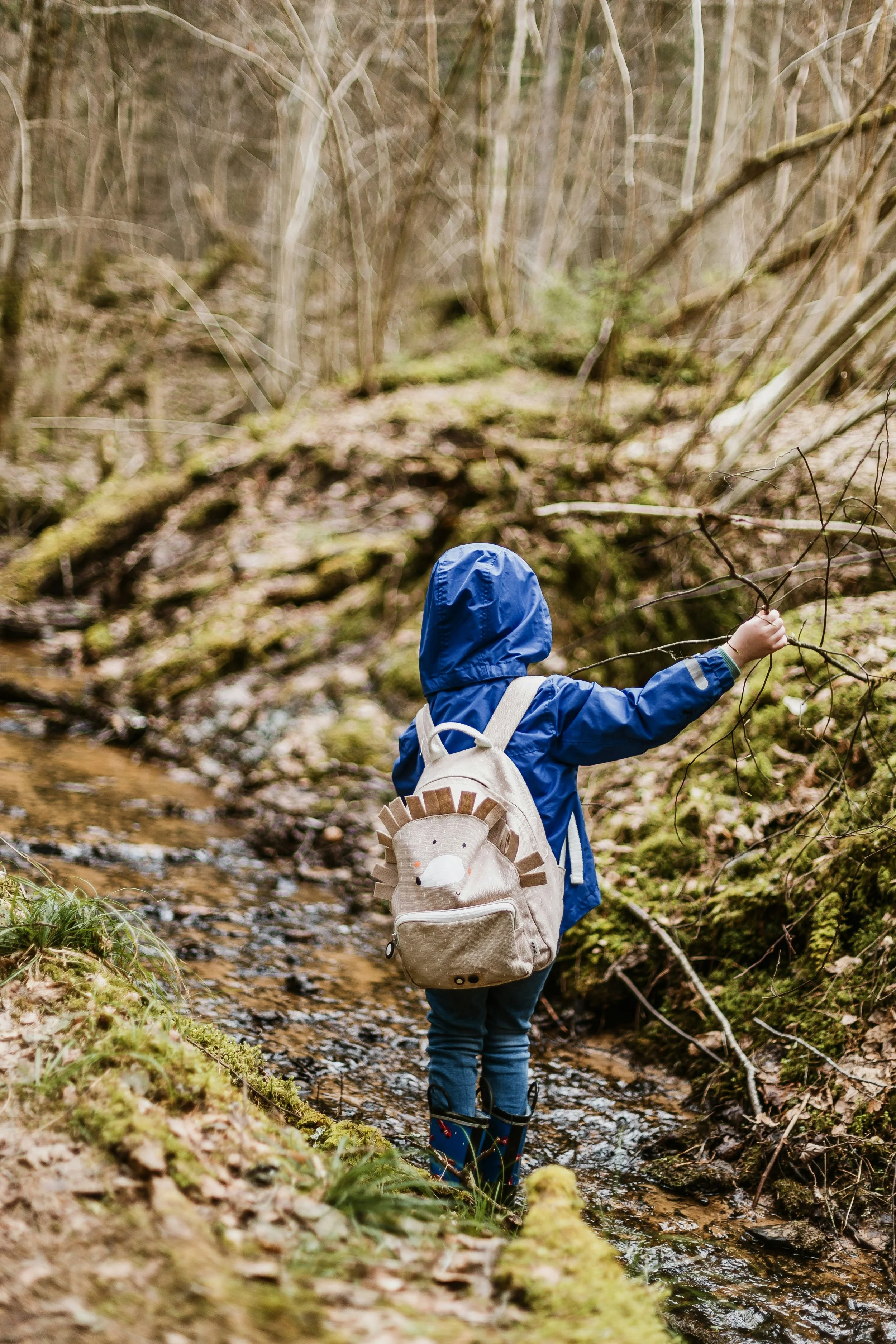 A young child dressed in a blue jacket with a hood and rain boots, carrying a beige backpack with a hedgehog face, wading through a small creek in a wooded forest.