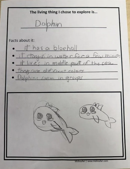 A handwritten worksheet titled 'The living thing I chose to explore is...' with the word 'Dolphin' filled in. It lists facts about dolphins, such as having a blowhole, staying in water for a few minutes, living in the middle of the sea, and swimming 