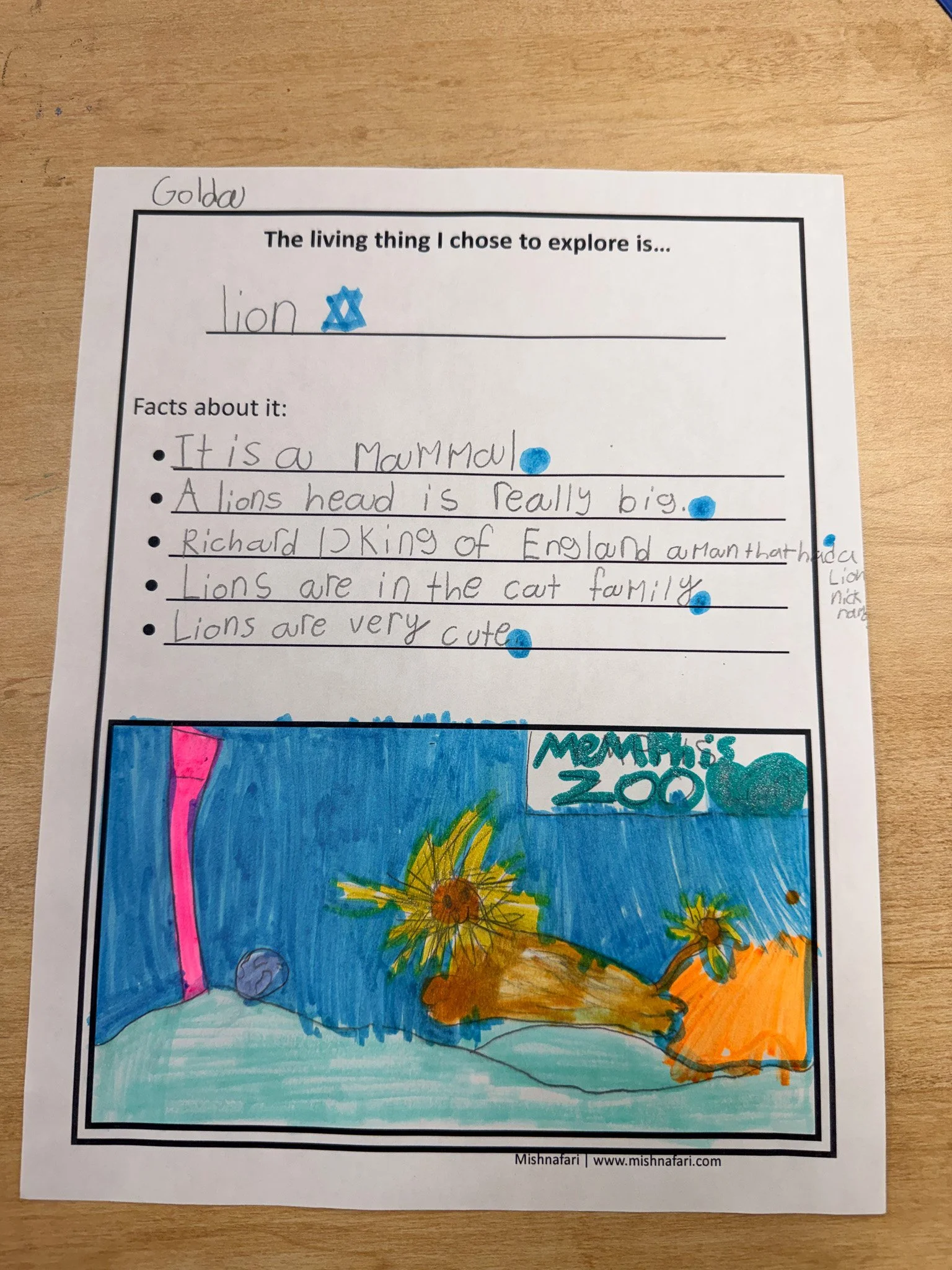 A child's colorful drawing of a lion in a zoo with the words 'Memphis Zoo.'