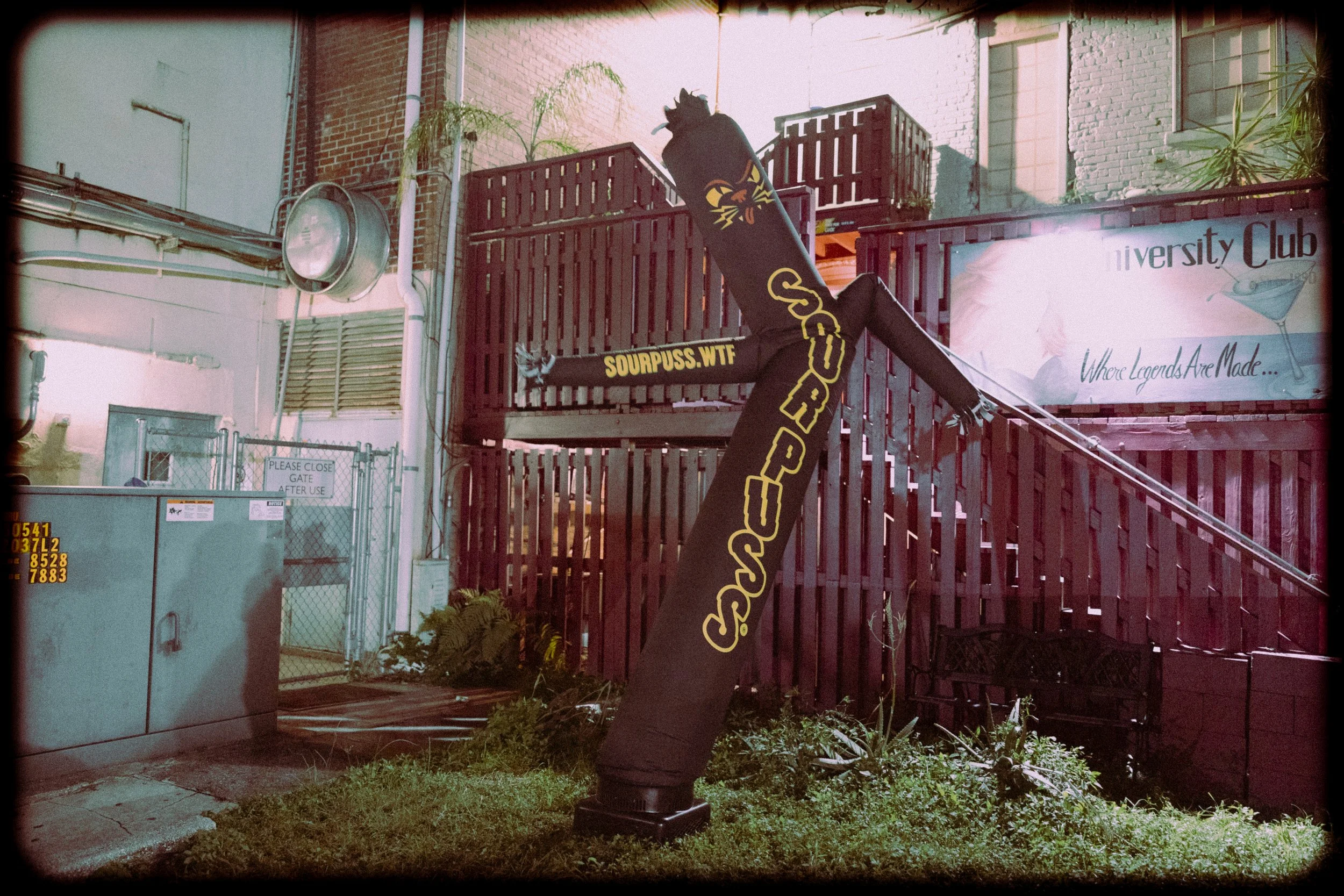 241024_SourPuss-1253.jpg