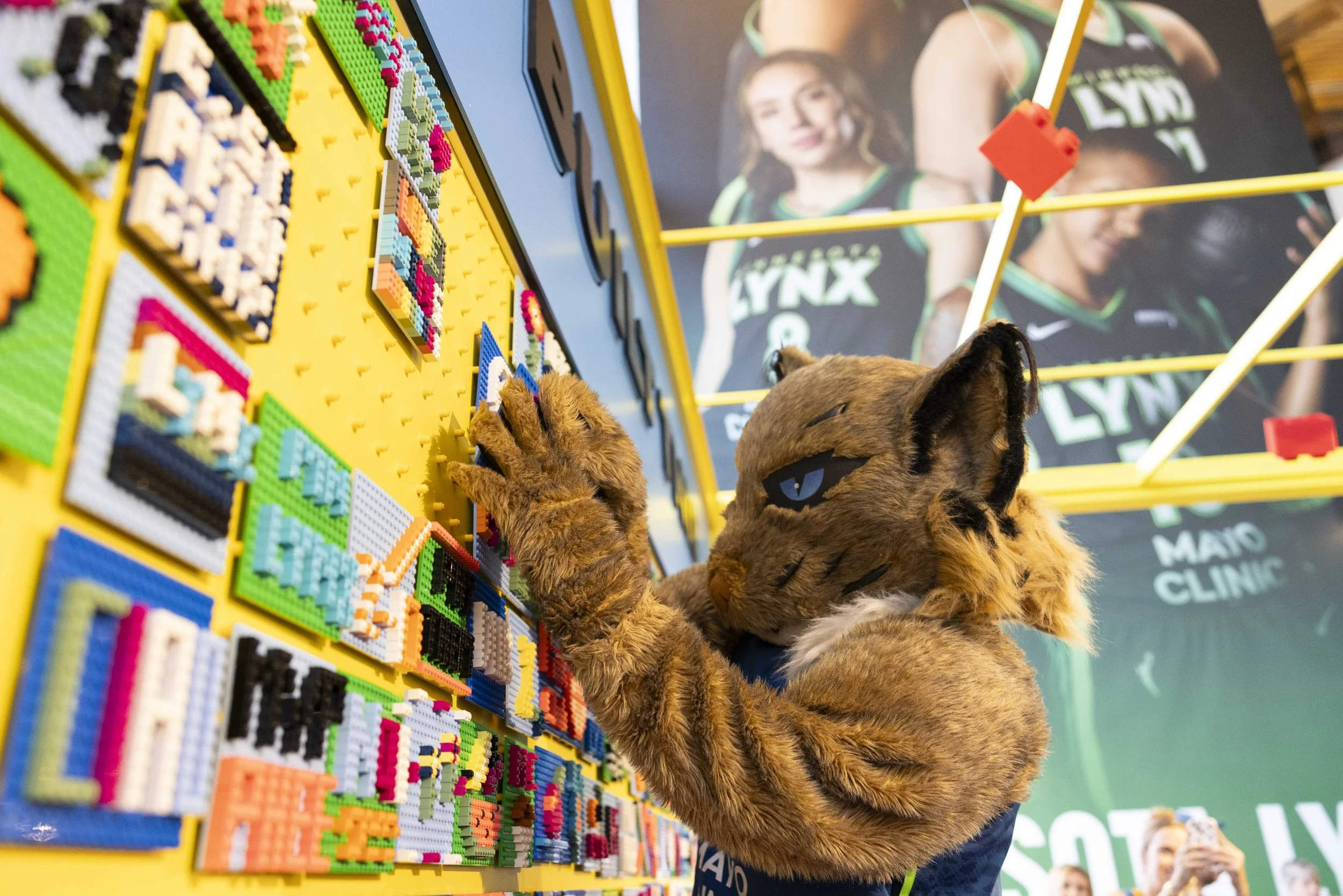 250828_LegoTargetLynx_3843_GPselects.jpg