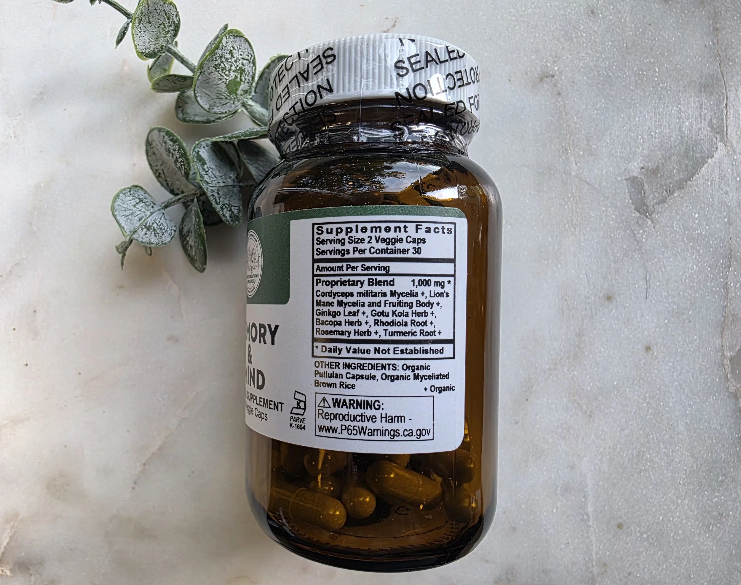 memory and mind side.jpg