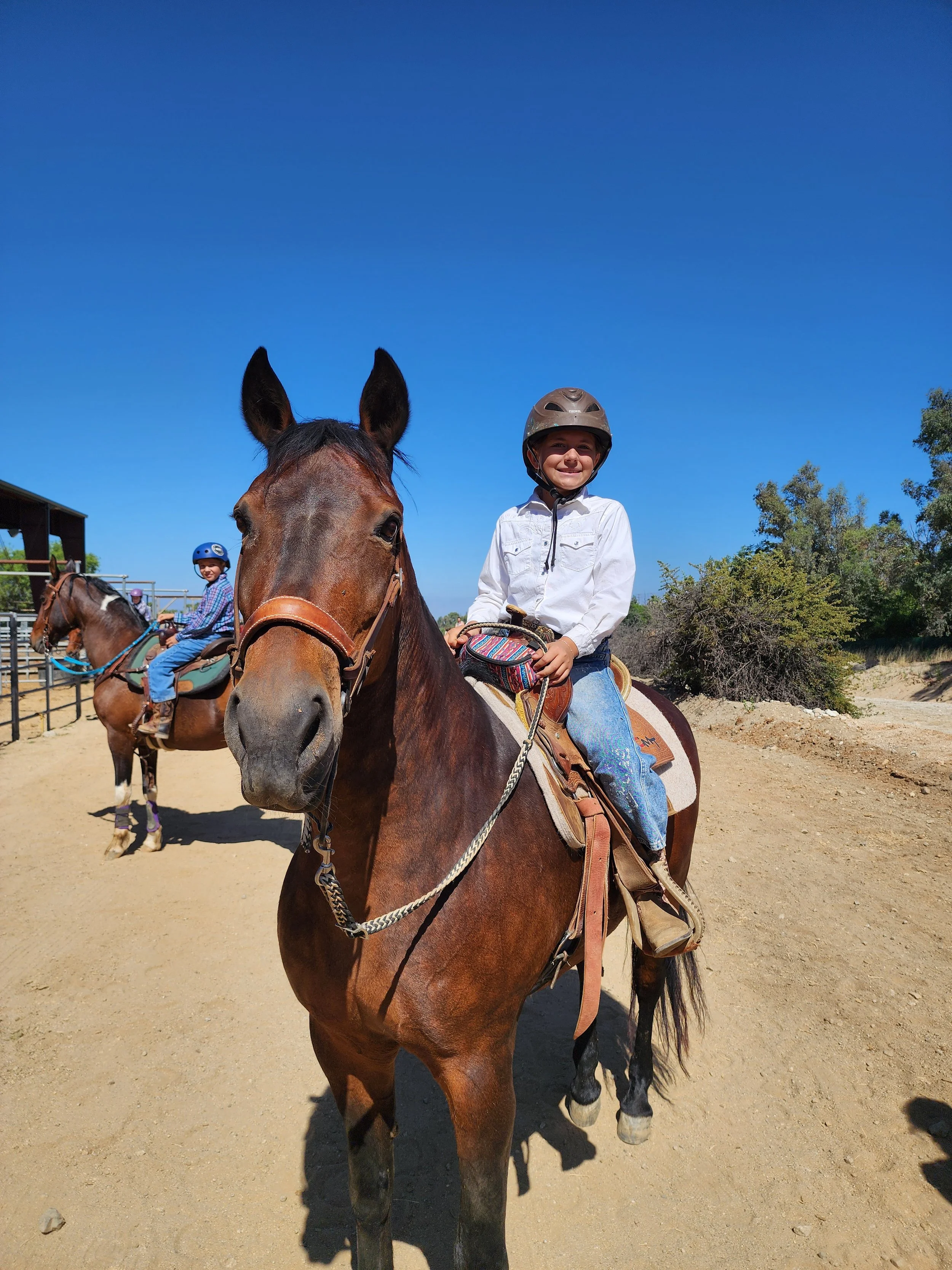 A young girl crouching beside a horse in a sandy outdoor paddock, embracing the horse's head as it grazes. There are fences and residential houses in the background.
