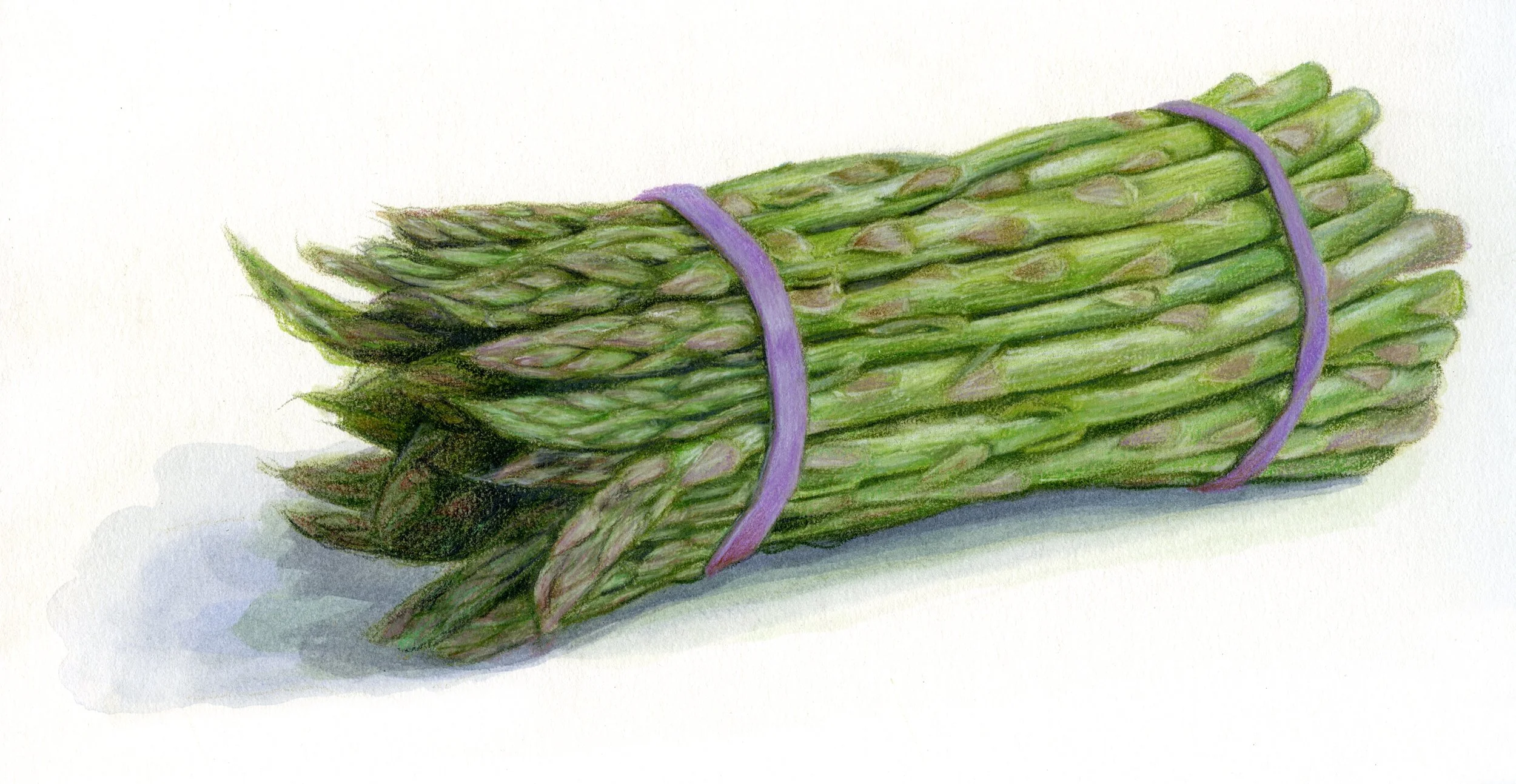 May 23 "Asparagus Day", Bonnie Morrill