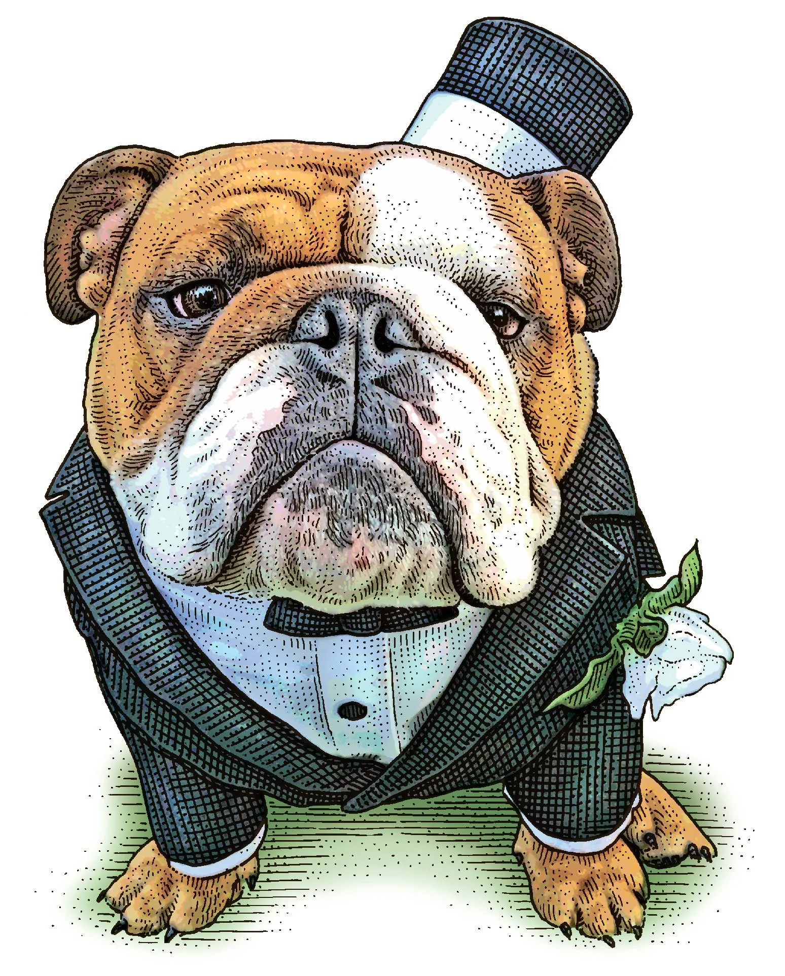 P1-BP362_Bulldog 2 - Copy.jpg